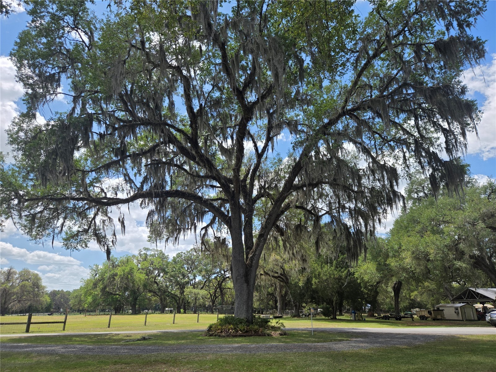 2672 SE 35th Street Sumterville FL 33585 OM723530 image22