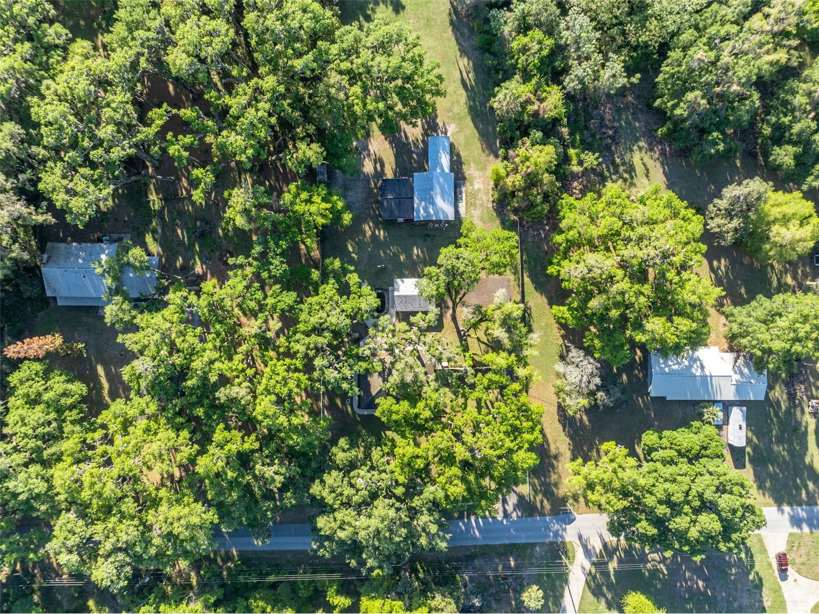 26721 Bloomfield Avenue Yalaha FL 34797 G5109832 image63