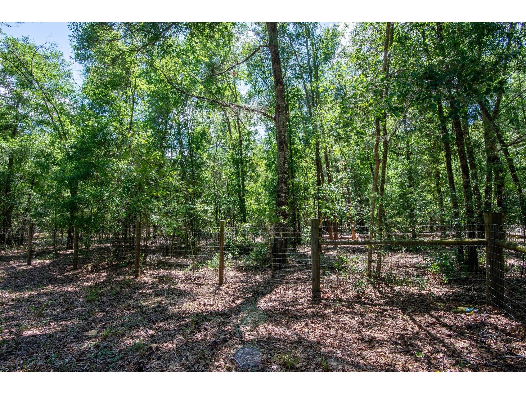 26721 Chippewa Trail Brooksville FL 34601 O6409285 image27