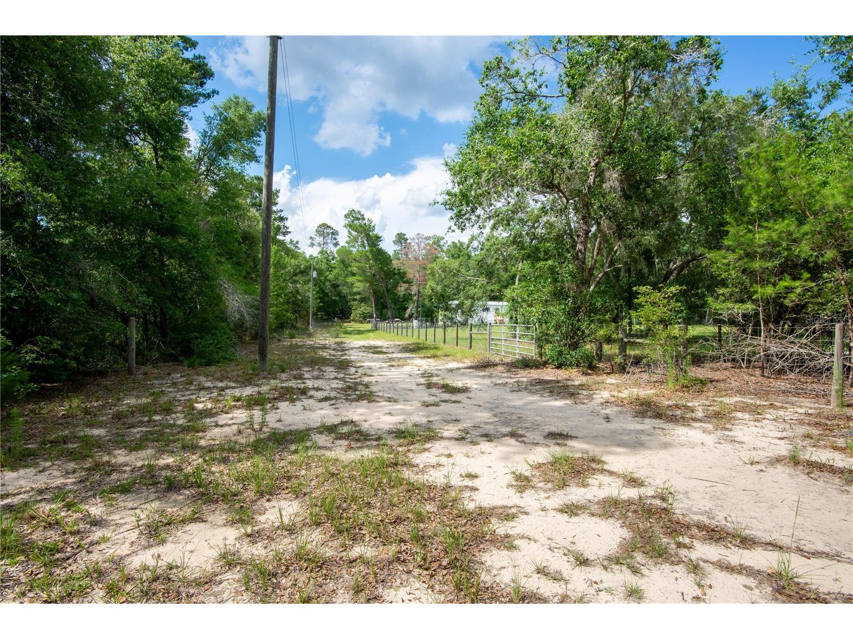 26721 Chippewa Trail Brooksville FL 34601 O6409285 image28