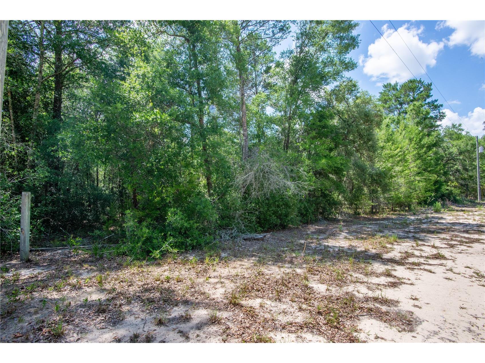 26721 Chippewa Trail Brooksville FL 34601 O6409285 image35