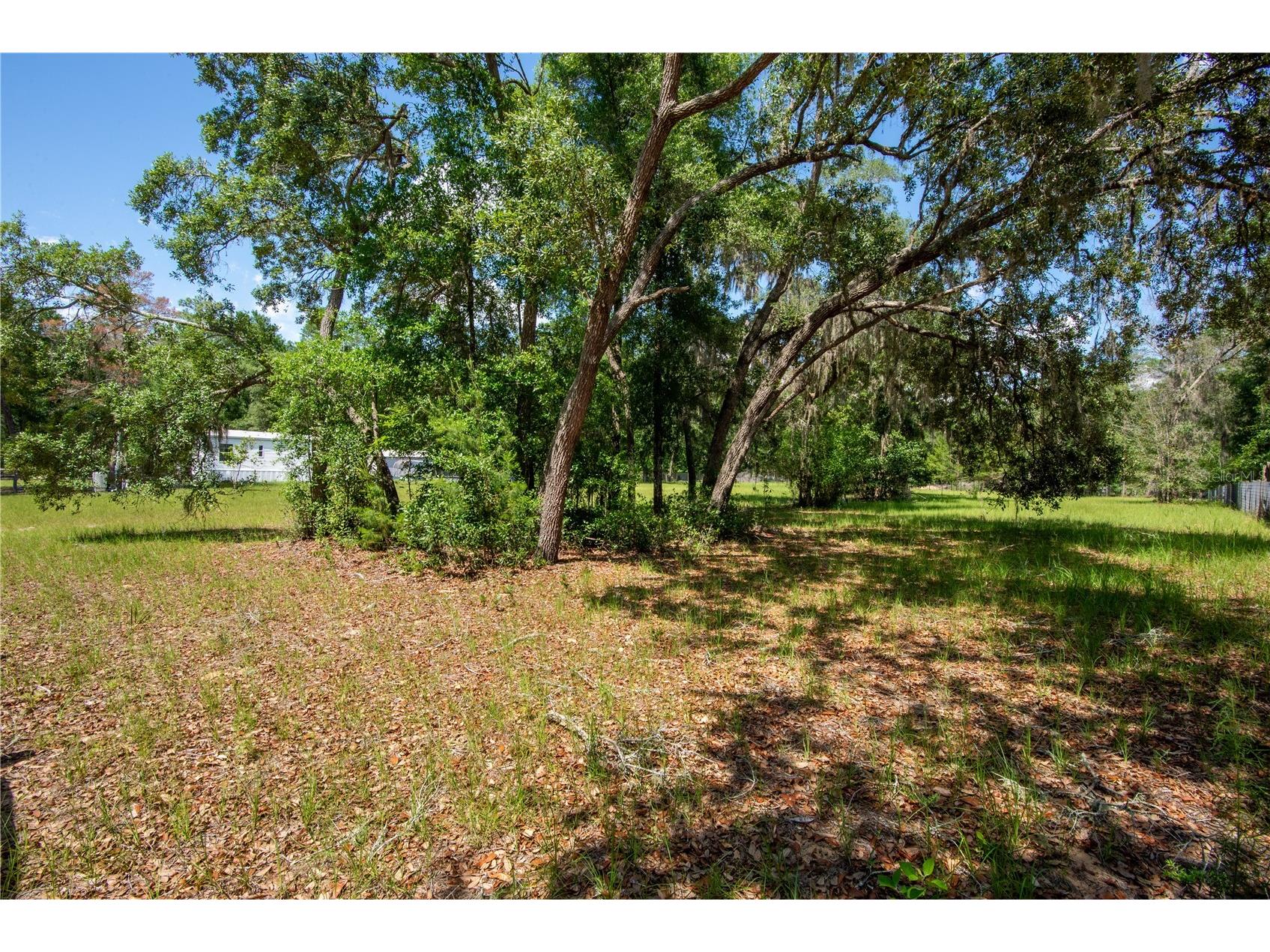 26721 Chippewa Trail Brooksville FL 34601 O6409285 image36