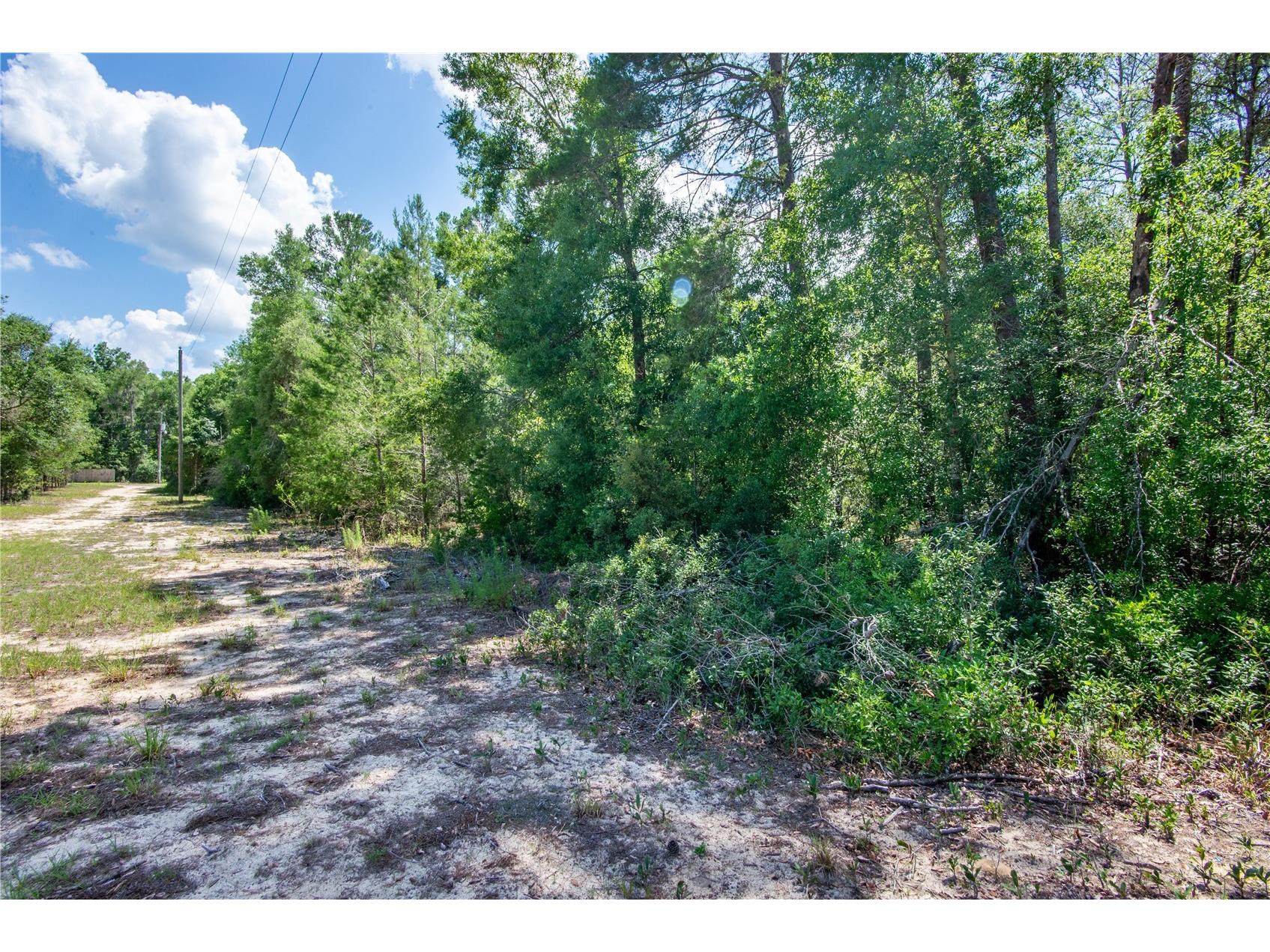 26721 Chippewa Trail Brooksville FL 34601 O6409285 image37
