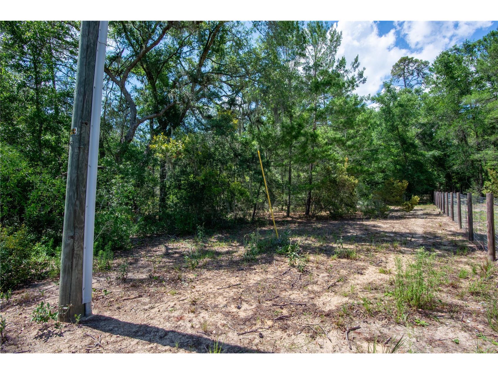 26721 Chippewa Trail Brooksville FL 34601 O6409285 image38