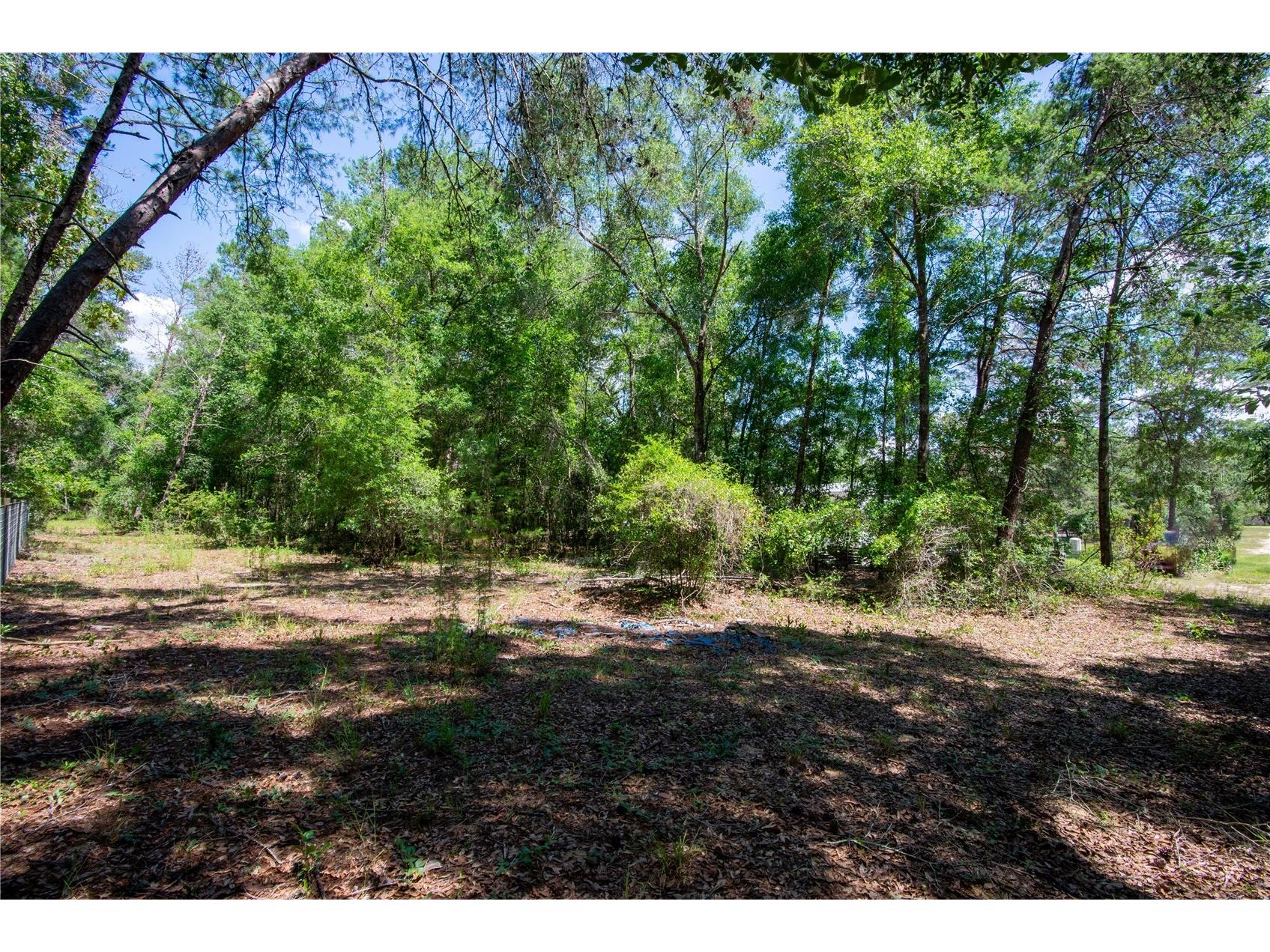 26721 Chippewa Trail Brooksville FL 34601 O6409285 image39