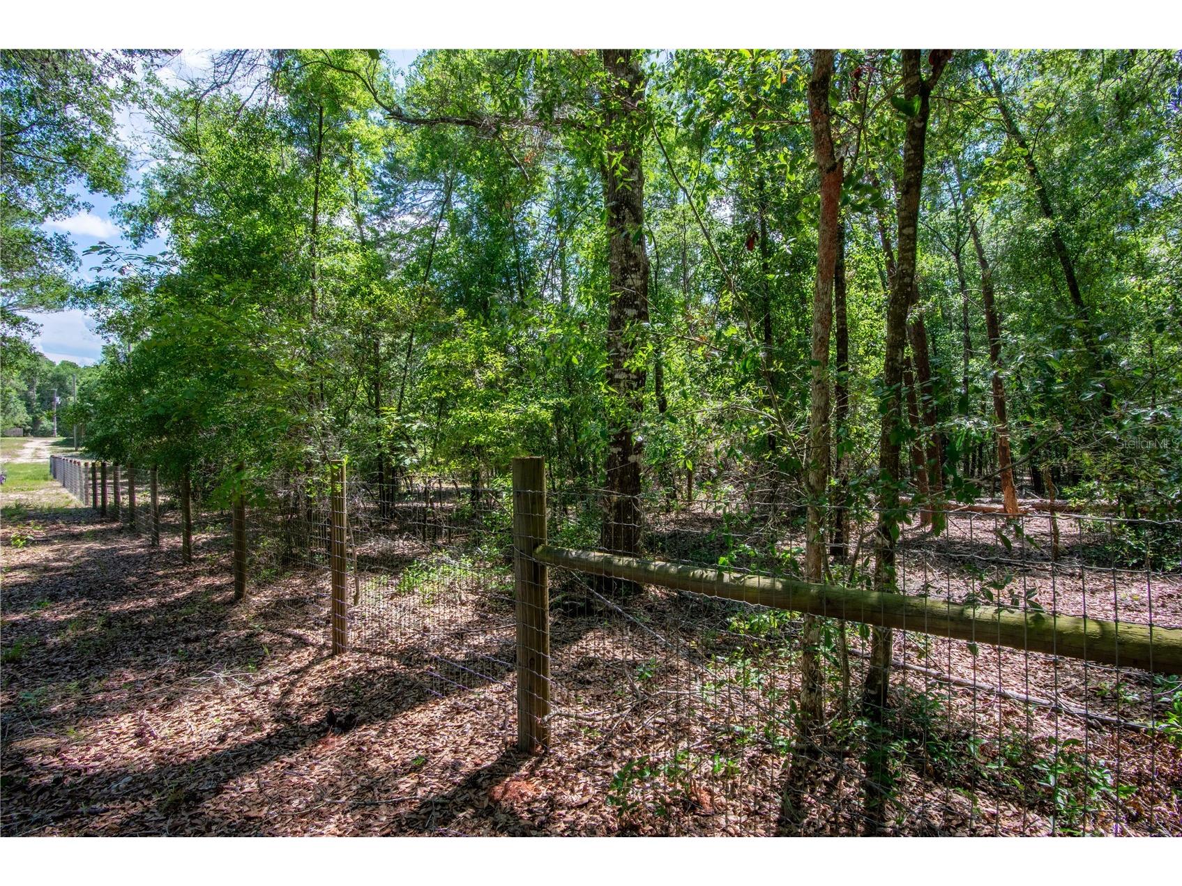 26721 Chippewa Trail Brooksville FL 34601 O6409285 image40