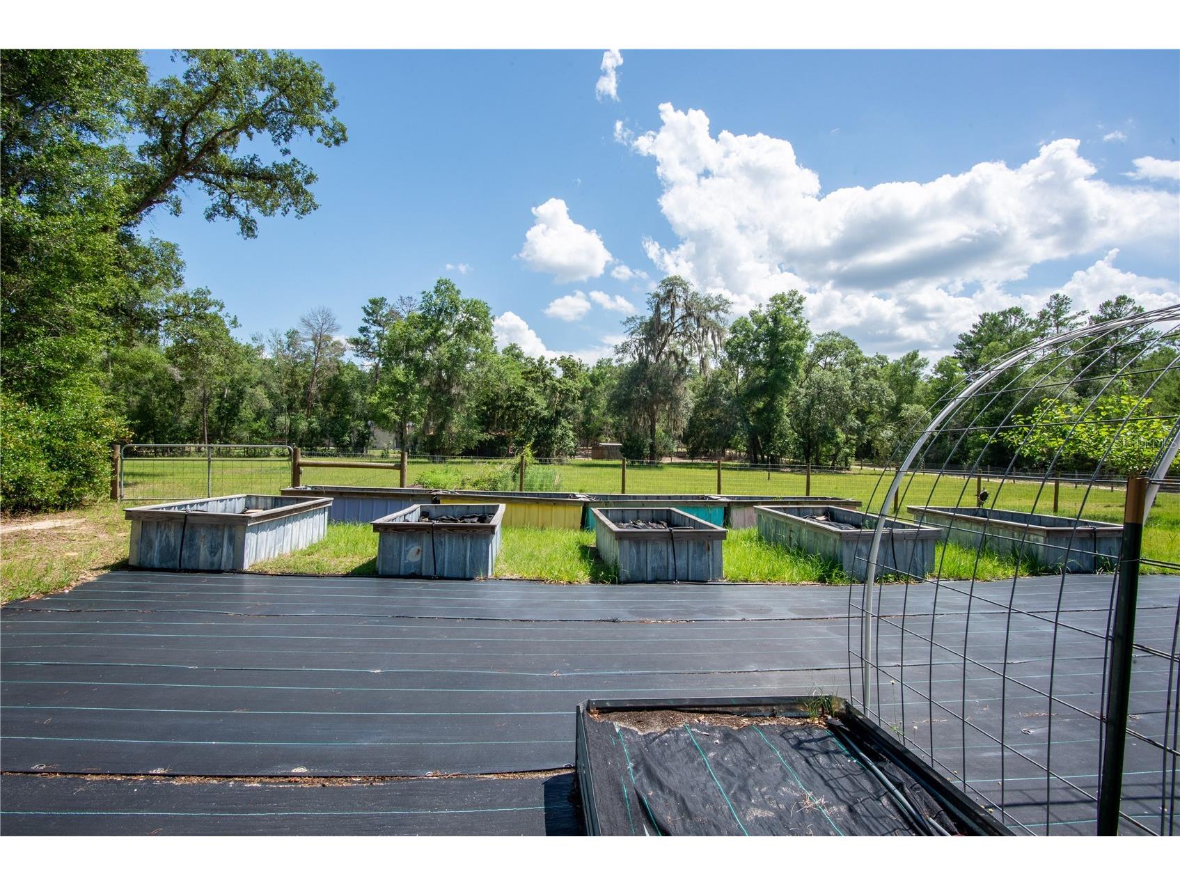 26721 Chippewa Trail Brooksville FL 34601 O6409285 image6