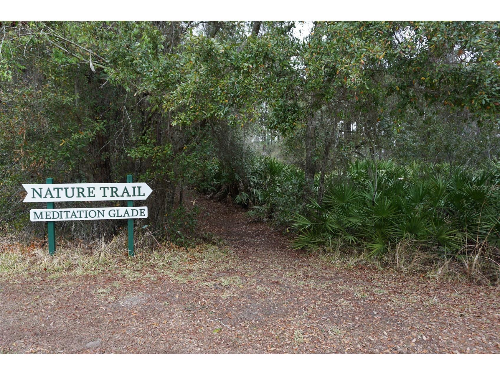 26724 Cash Court Leesburg FL 34748 G5112838 image54