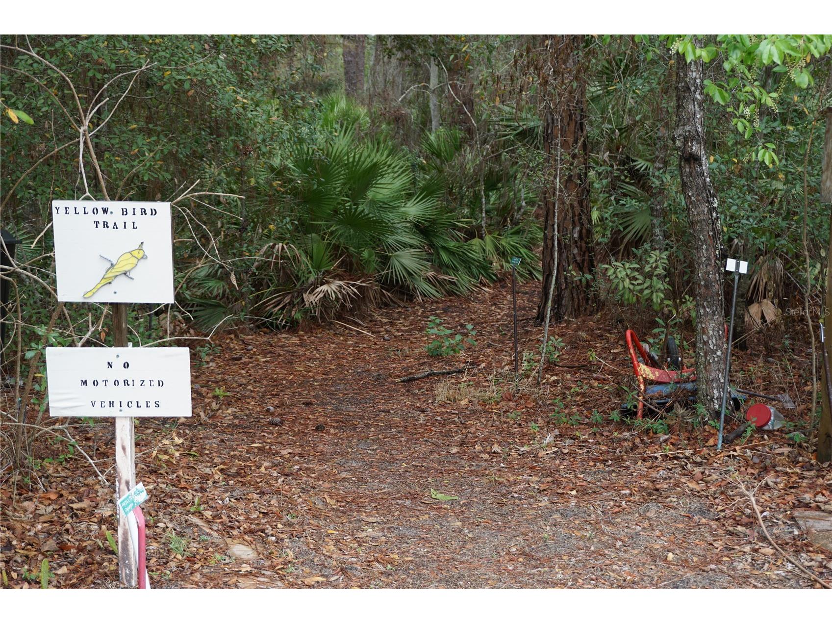 26724 Cash Court Leesburg FL 34748 G5112838 image55