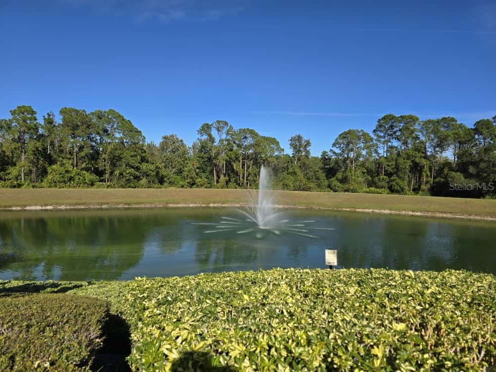 2673 Emerald Island Boulevard Kissimmee FL 34747 O6359711 image36