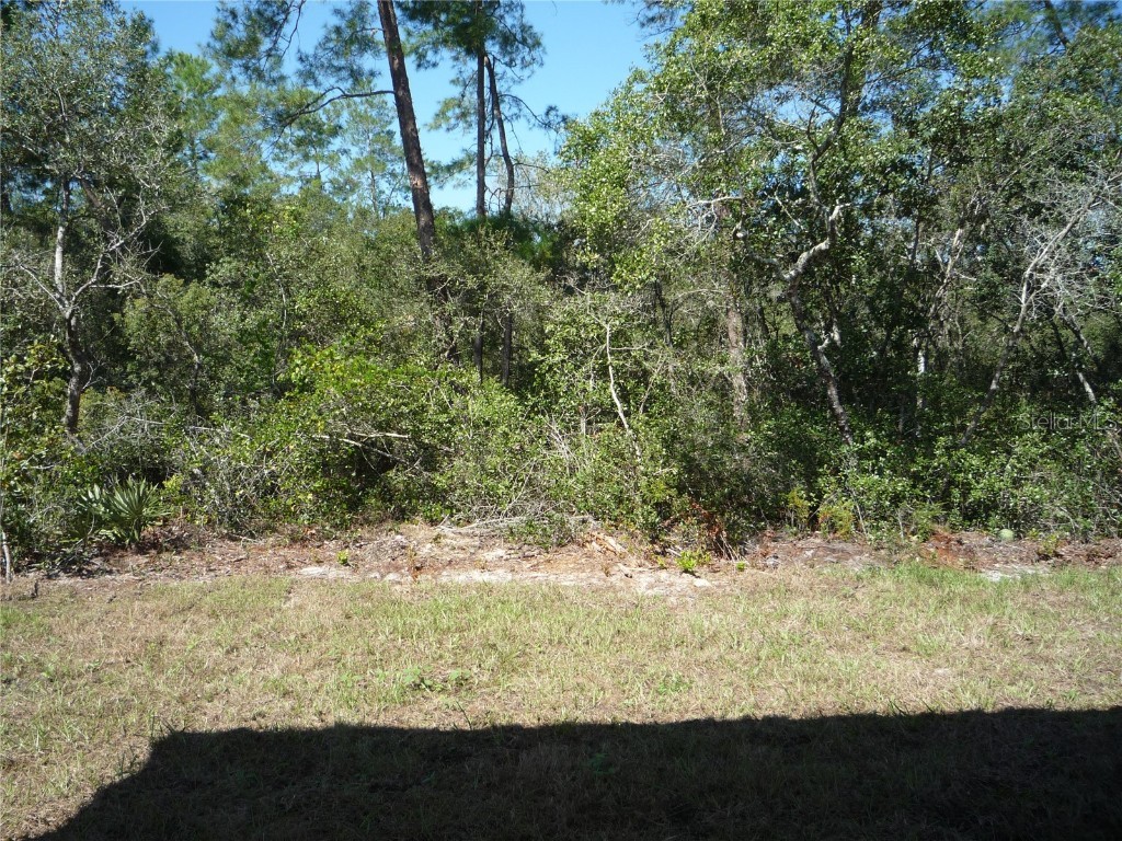 2673 SW 165th Street Road Ocala FL 34473 O6352589 image28