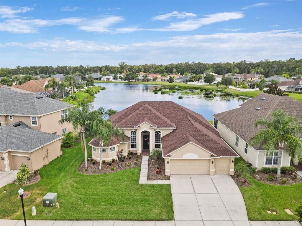 26730 Shoregrass Drive Wesley Chapel FL 33544 T3468511 image1