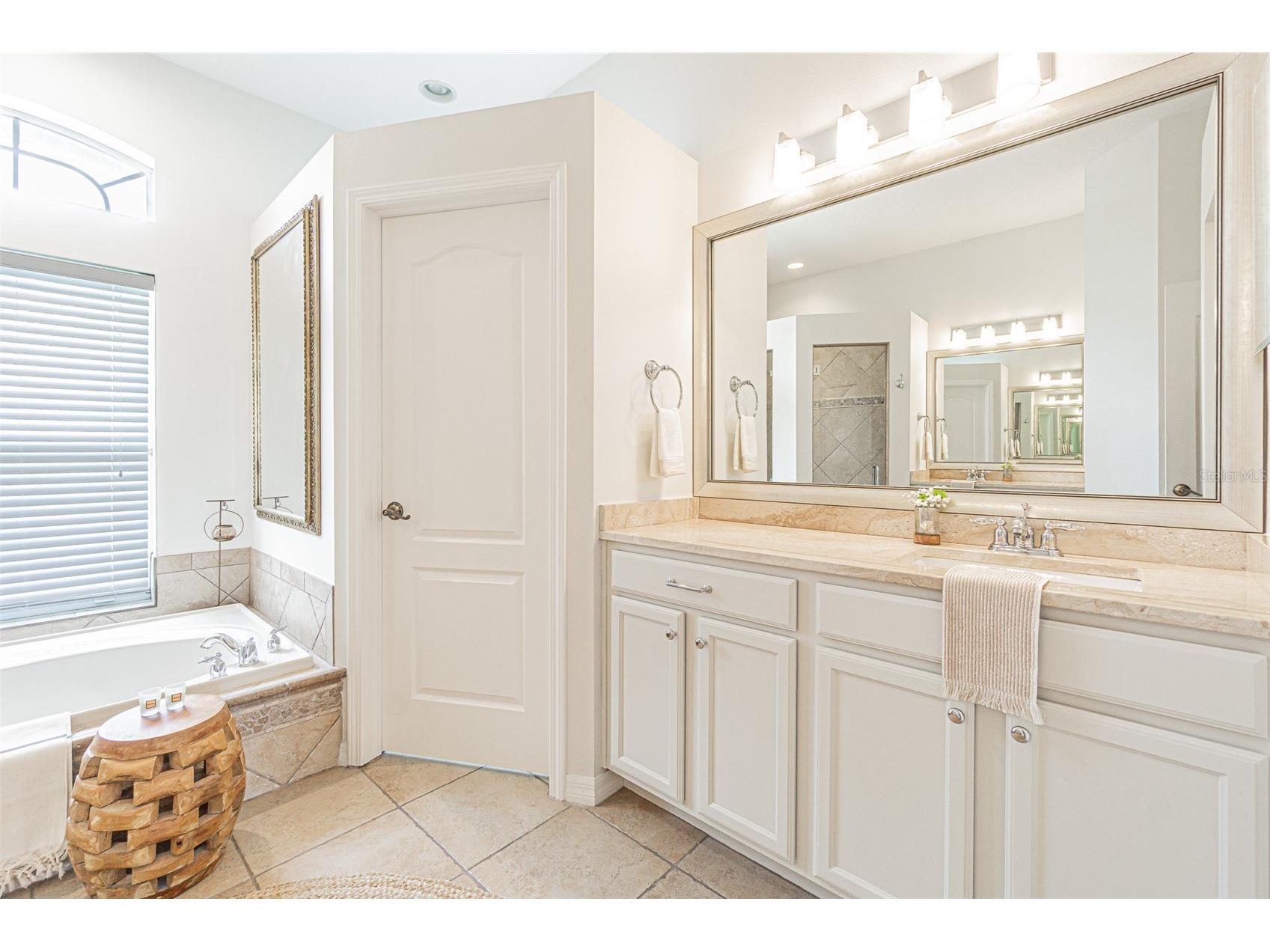 26731 Winged Elm Drive Wesley Chapel FL 33544 R4911450 image19