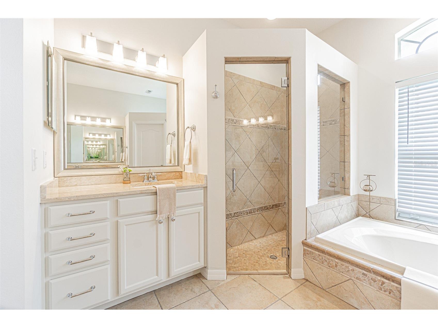 26731 Winged Elm Drive Wesley Chapel FL 33544 R4911450 image20
