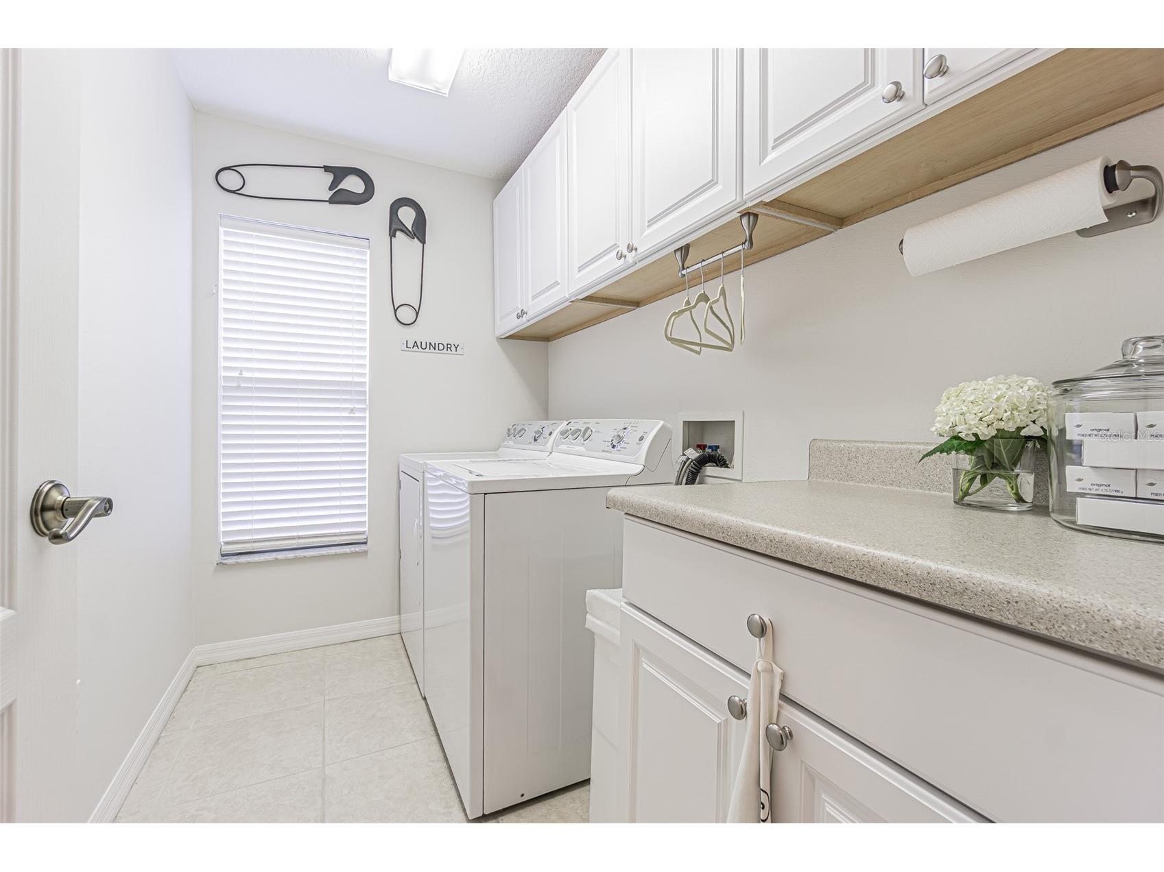 26731 Winged Elm Drive Wesley Chapel FL 33544 R4911450 image27