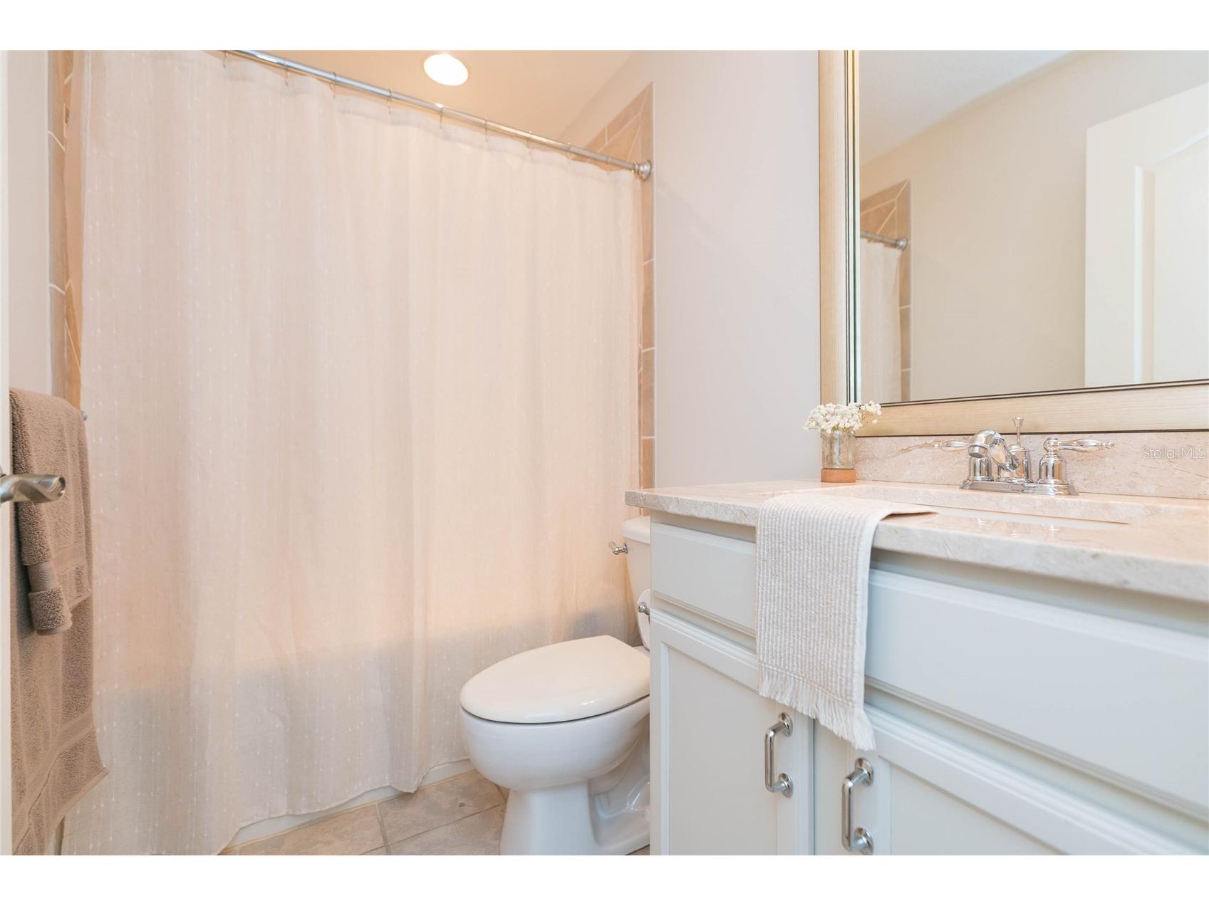 26731 Winged Elm Drive Wesley Chapel FL 33544 R4911450 image43