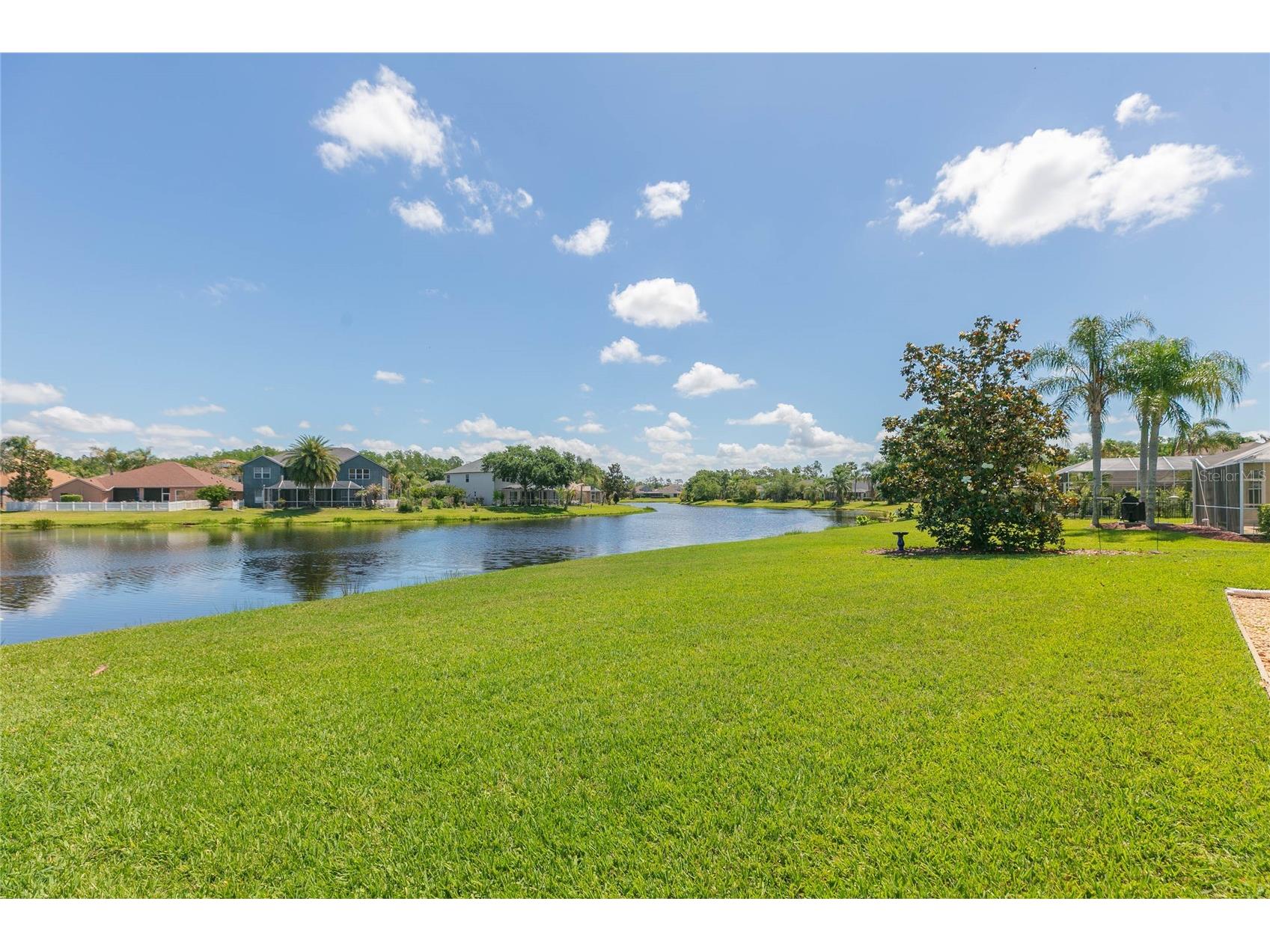 26731 Winged Elm Drive Wesley Chapel FL 33544 R4911450 image51