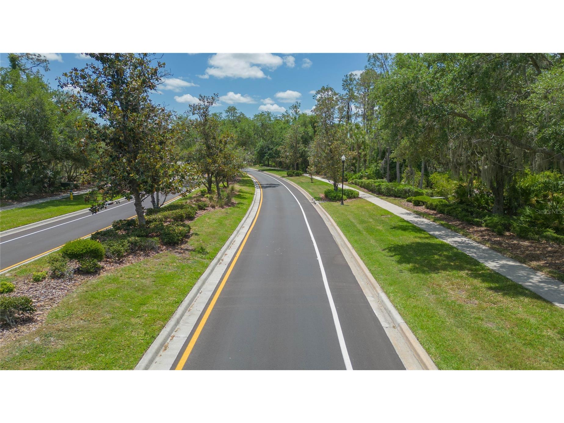 26731 Winged Elm Drive Wesley Chapel FL 33544 R4911450 image58