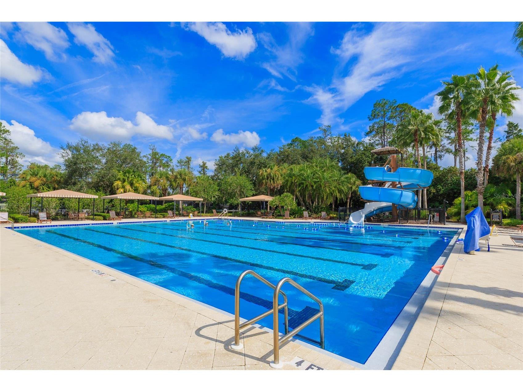 26731 Winged Elm Drive Wesley Chapel FL 33544 R4911450 image61