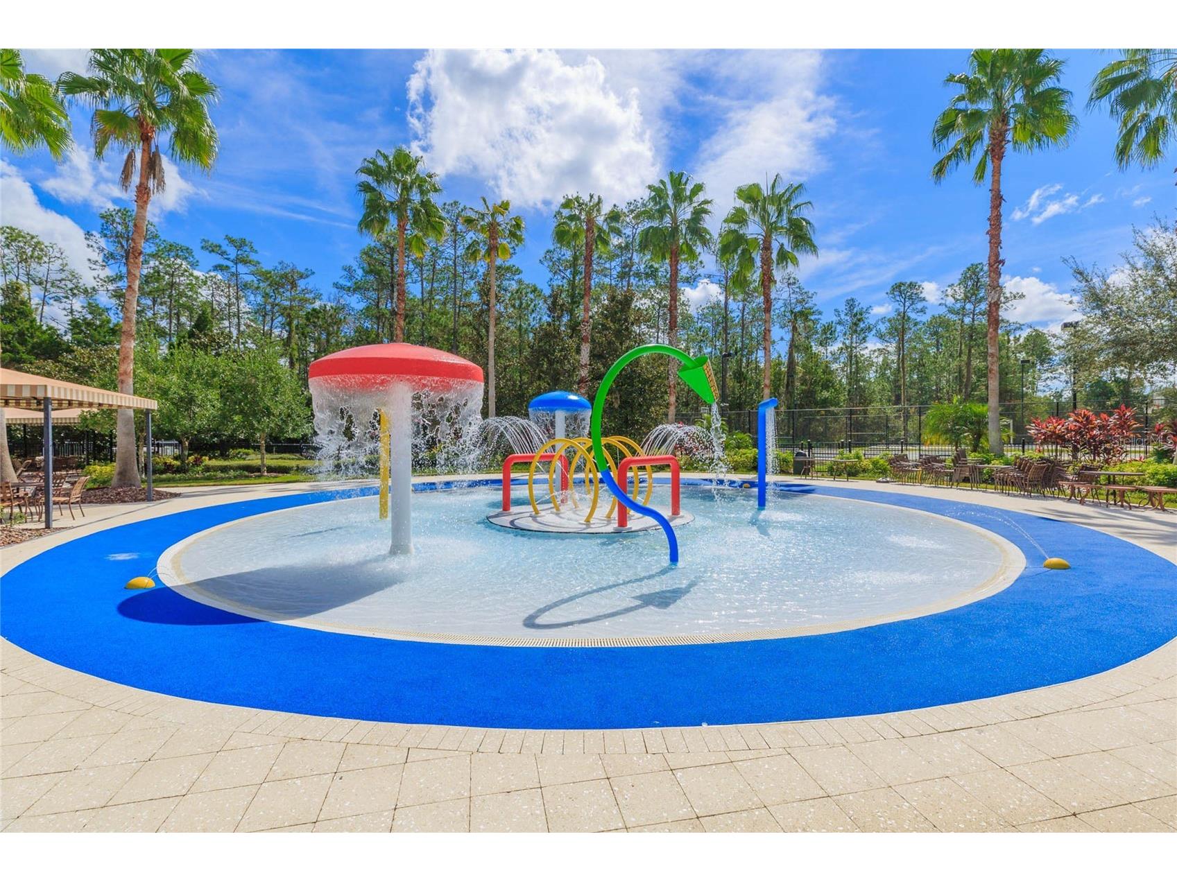 26731 Winged Elm Drive Wesley Chapel FL 33544 R4911450 image63