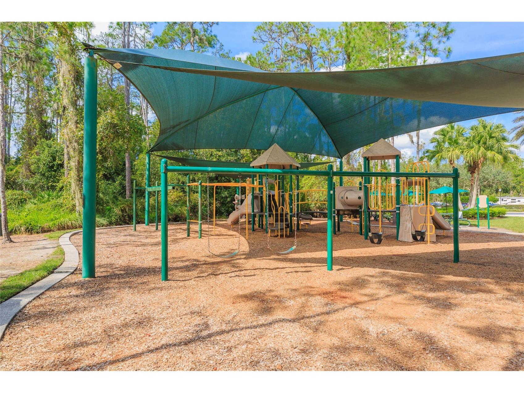 26731 Winged Elm Drive Wesley Chapel FL 33544 R4911450 image64