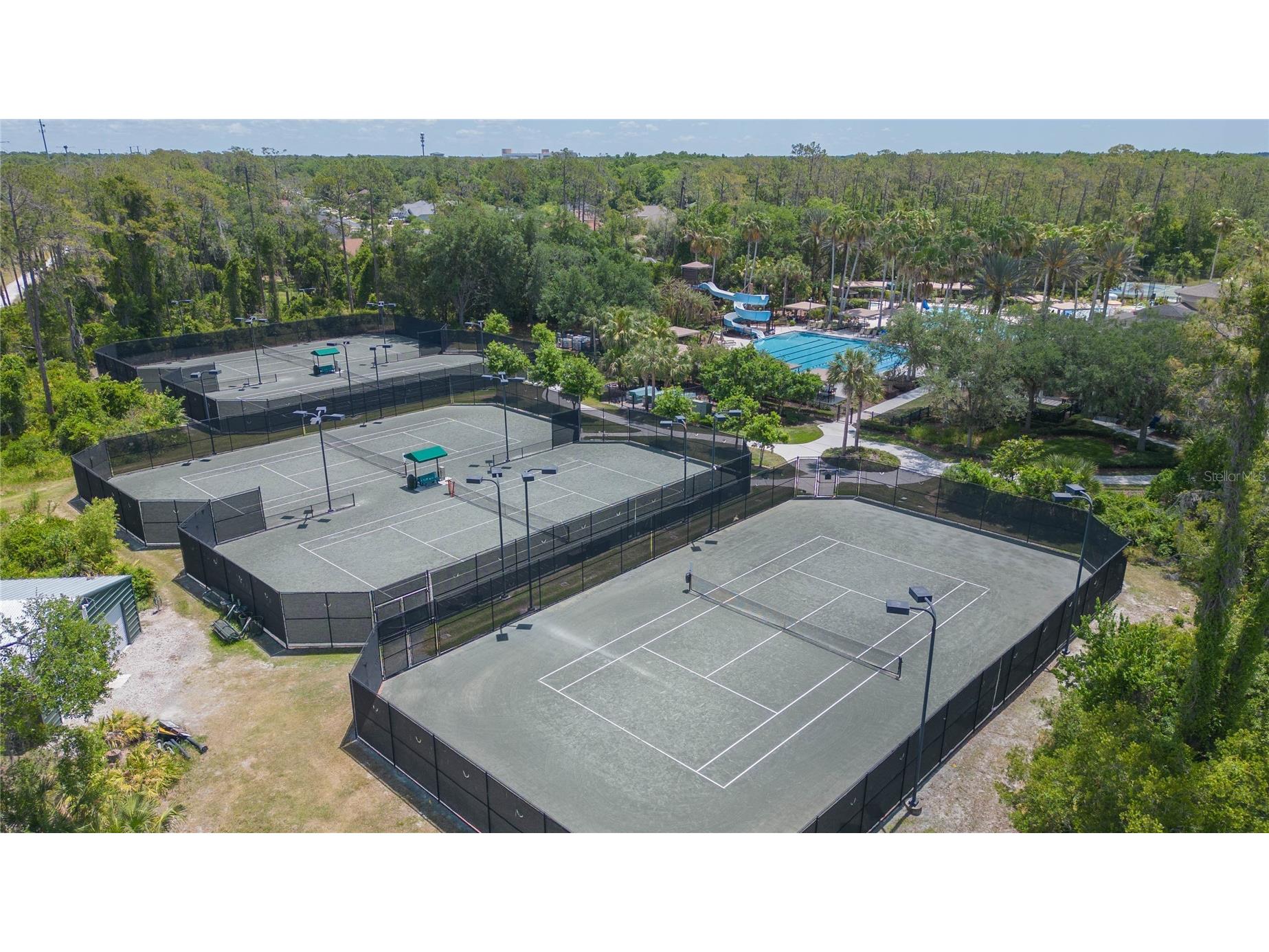 26731 Winged Elm Drive Wesley Chapel FL 33544 R4911450 image66