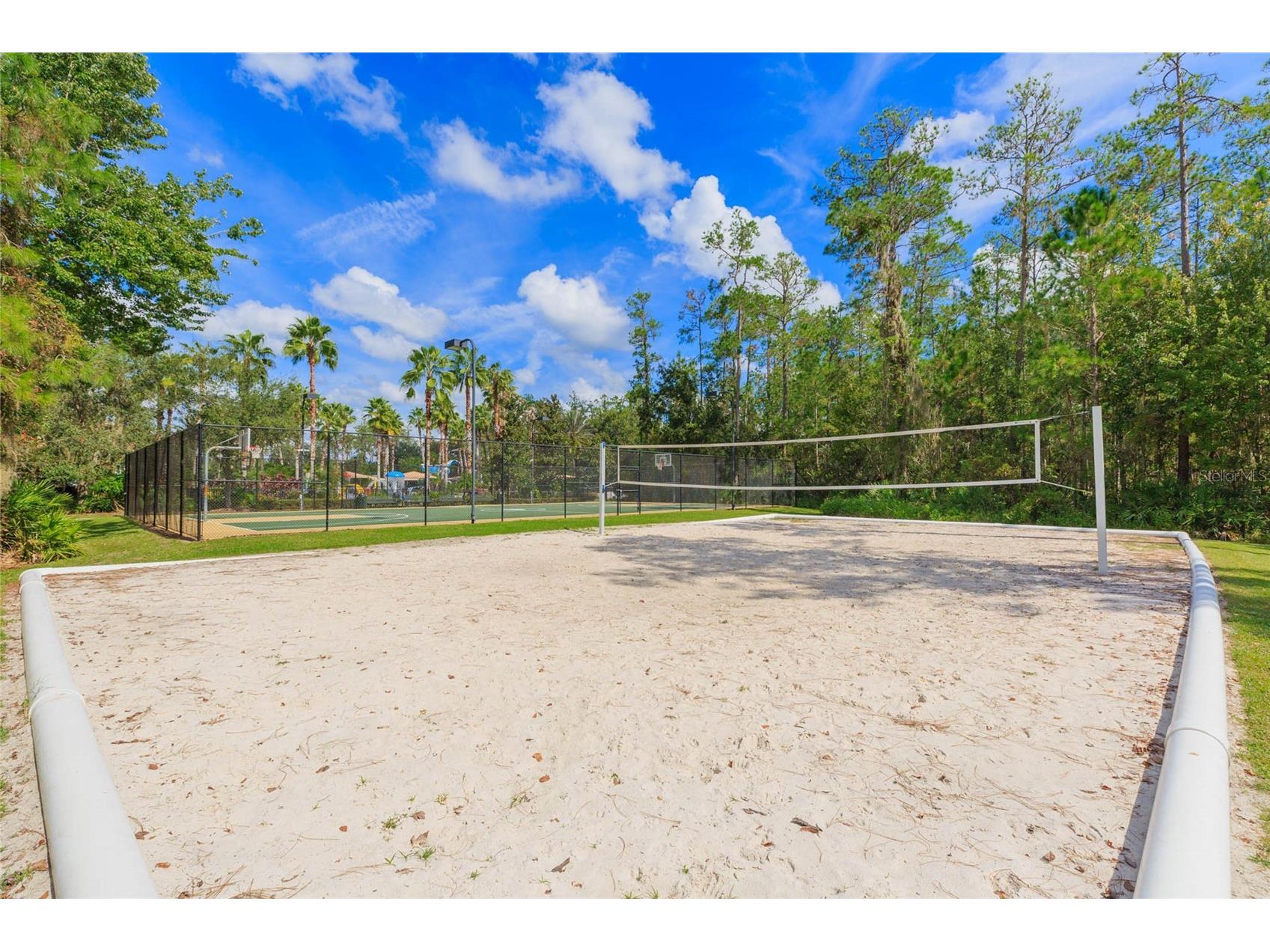26731 Winged Elm Drive Wesley Chapel FL 33544 R4911450 image67