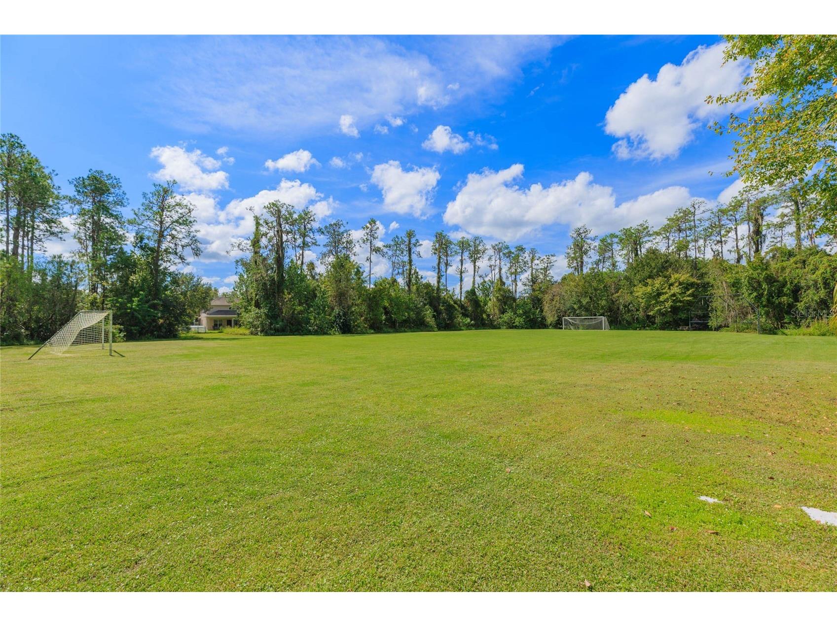 26731 Winged Elm Drive Wesley Chapel FL 33544 R4911450 image68
