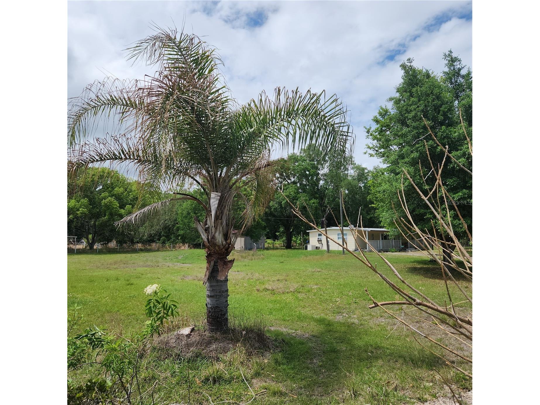 26739 Foamflower Boulevard Wesley Chapel FL 33544 TB8495745 image14