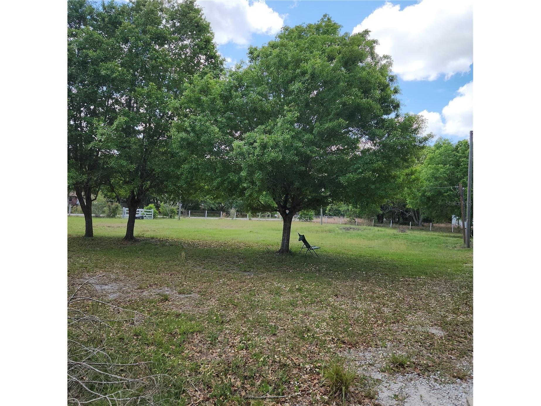 26739 Foamflower Boulevard Wesley Chapel FL 33544 TB8495745 image15