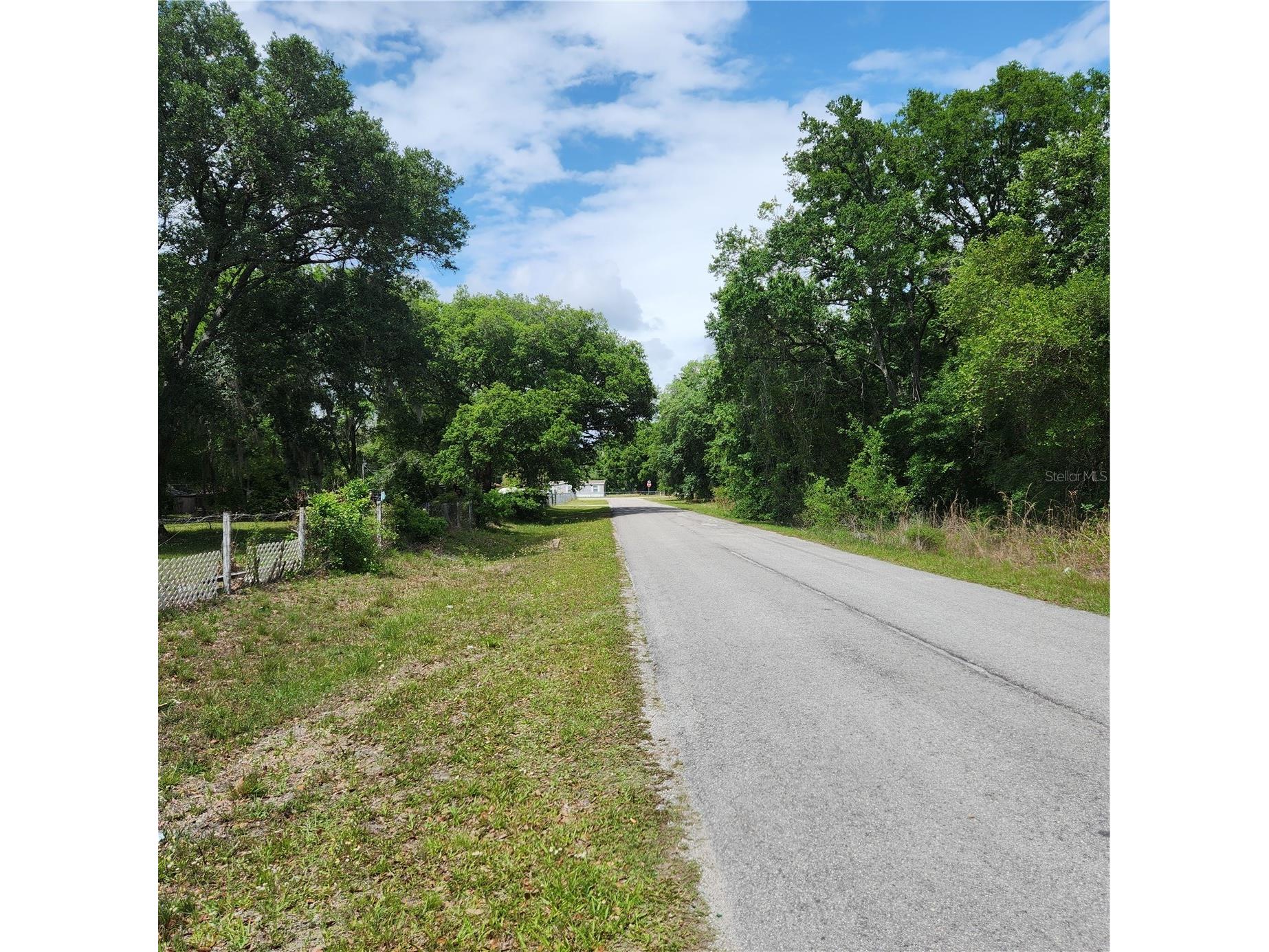 26739 Foamflower Boulevard Wesley Chapel FL 33544 TB8495745 image18