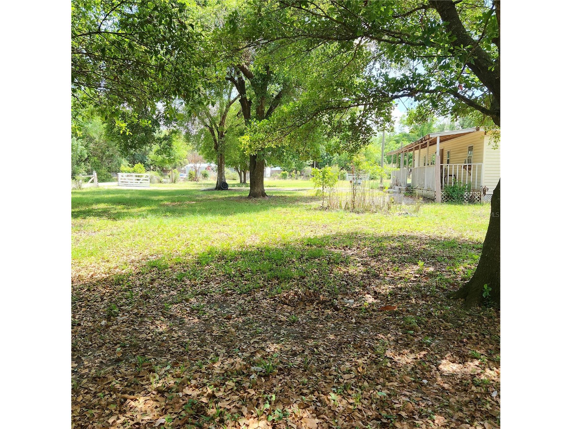 26739 Foamflower Boulevard Wesley Chapel FL 33544 TB8495745 image25