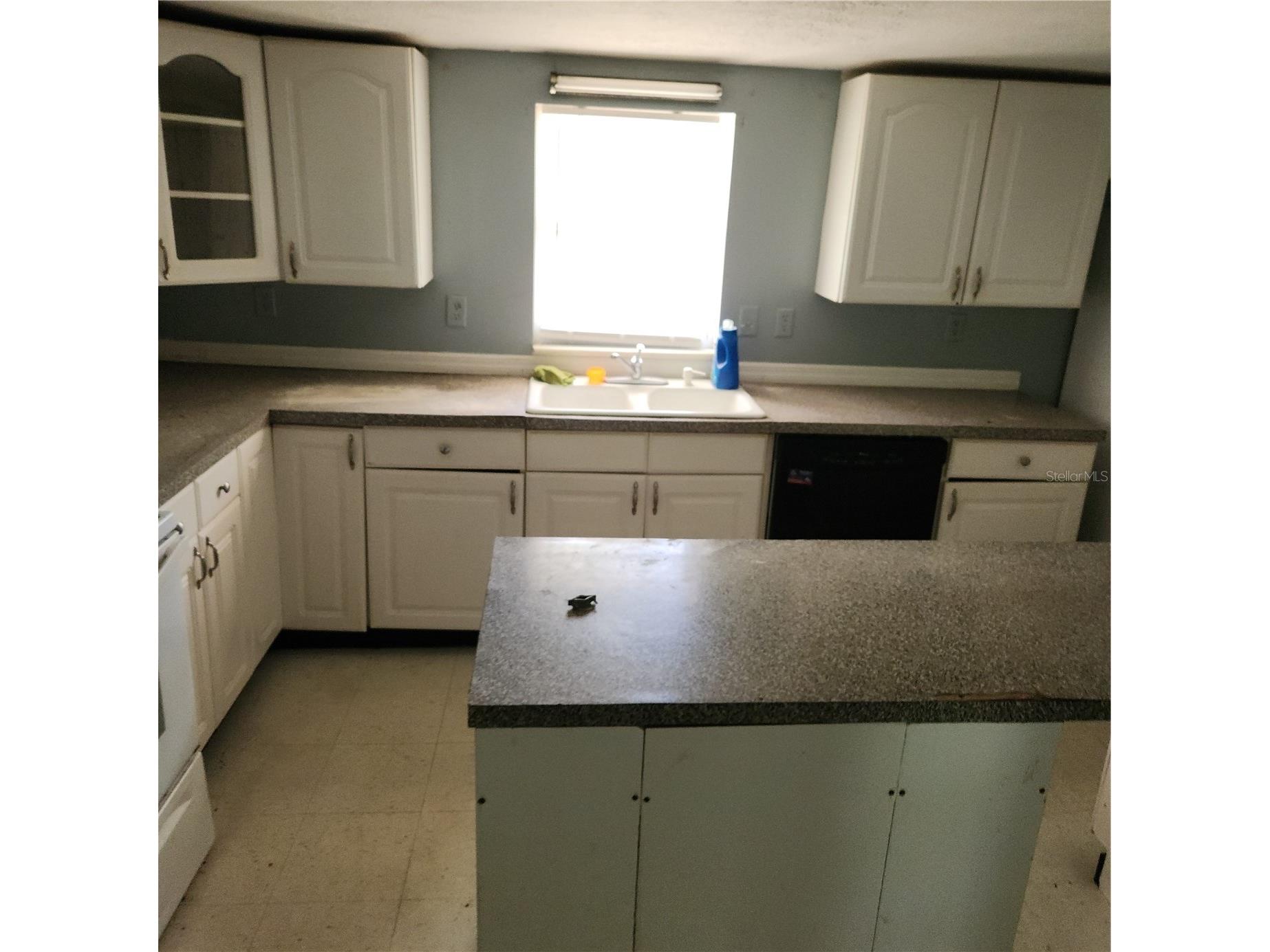 26739 Foamflower Boulevard Wesley Chapel FL 33544 TB8495745 image4