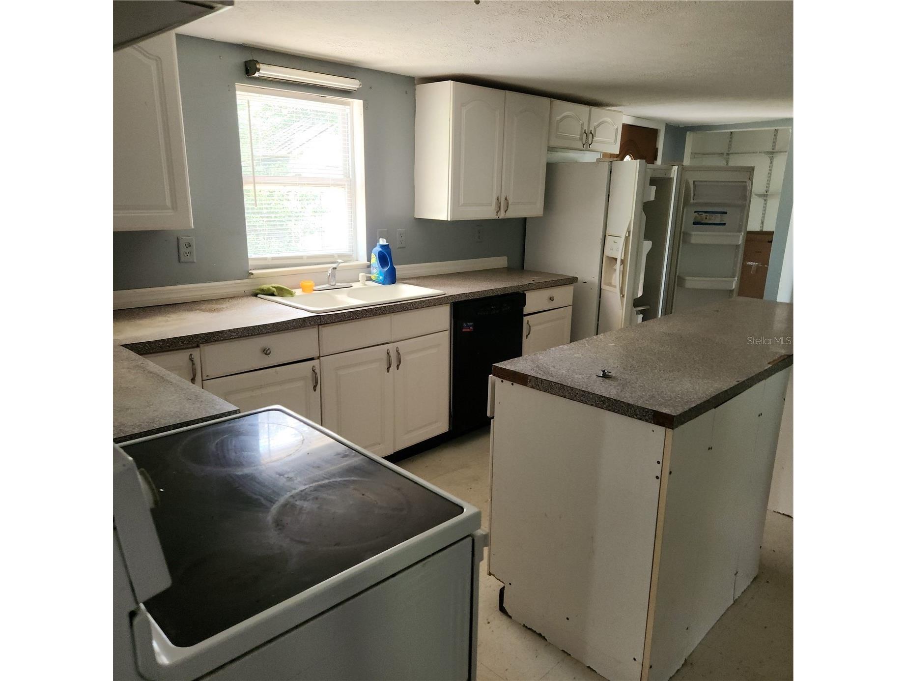 26739 Foamflower Boulevard Wesley Chapel FL 33544 TB8495745 image5