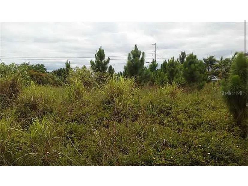 2674 SE Walton Road Port Saint Lucie FL 34952 O6068320 image1