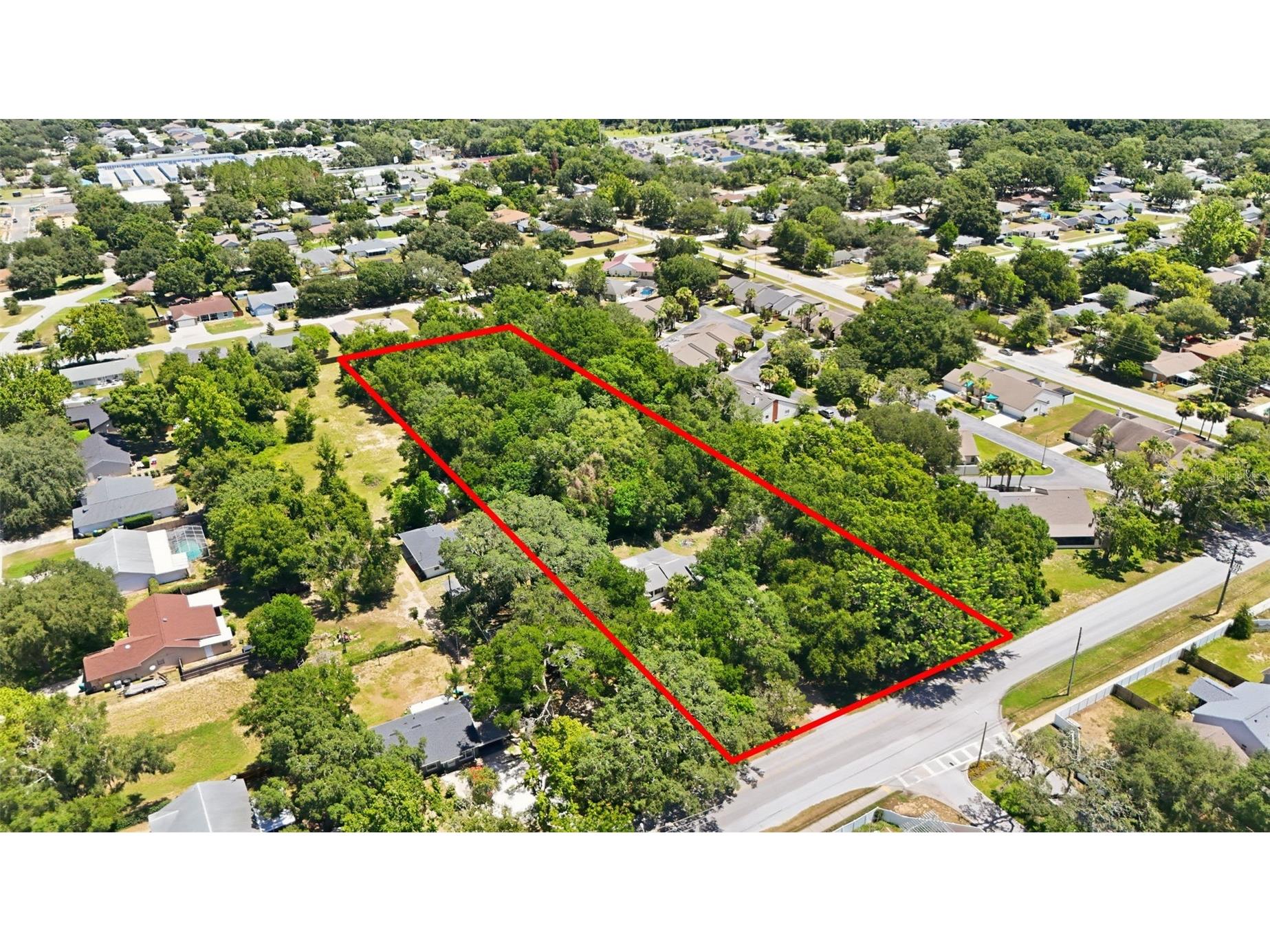 2675 E Washington Avenue Eustis FL 32726 O6422470 image3