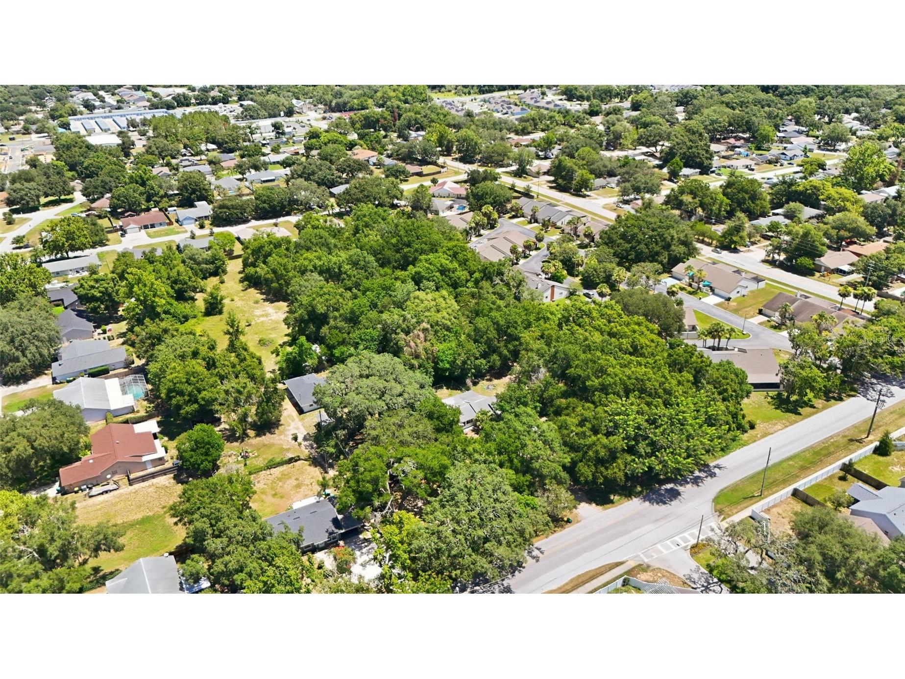 2675 E Washington Avenue Eustis FL 32726 O6422470 image6