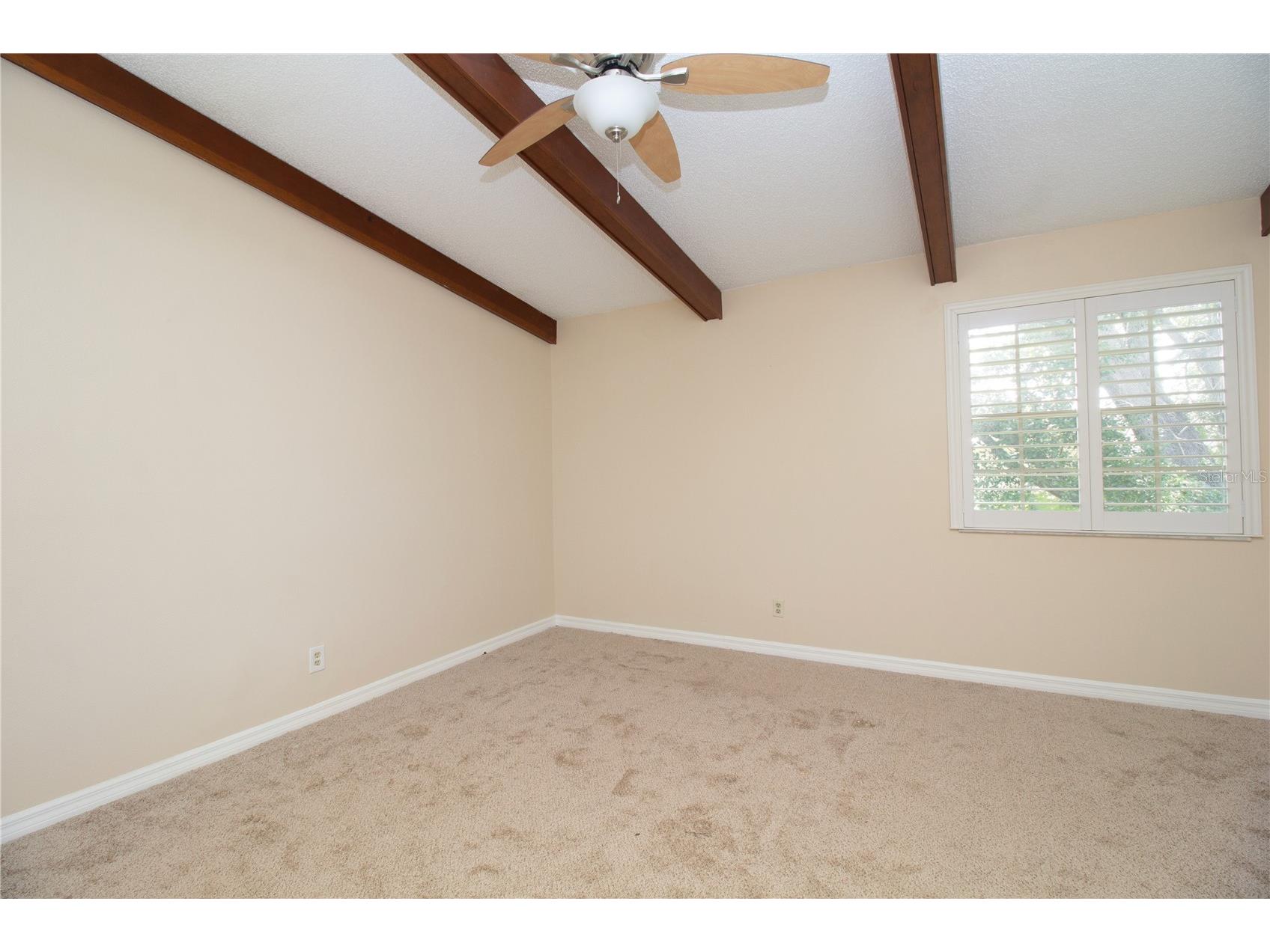 2675 Sequoia Terrace Palm Harbor FL 34683 TB8504736 image17