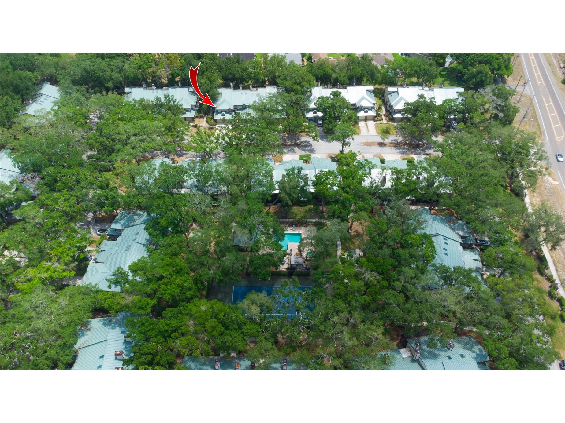 2675 Sequoia Terrace Palm Harbor FL 34683 TB8504736 image29