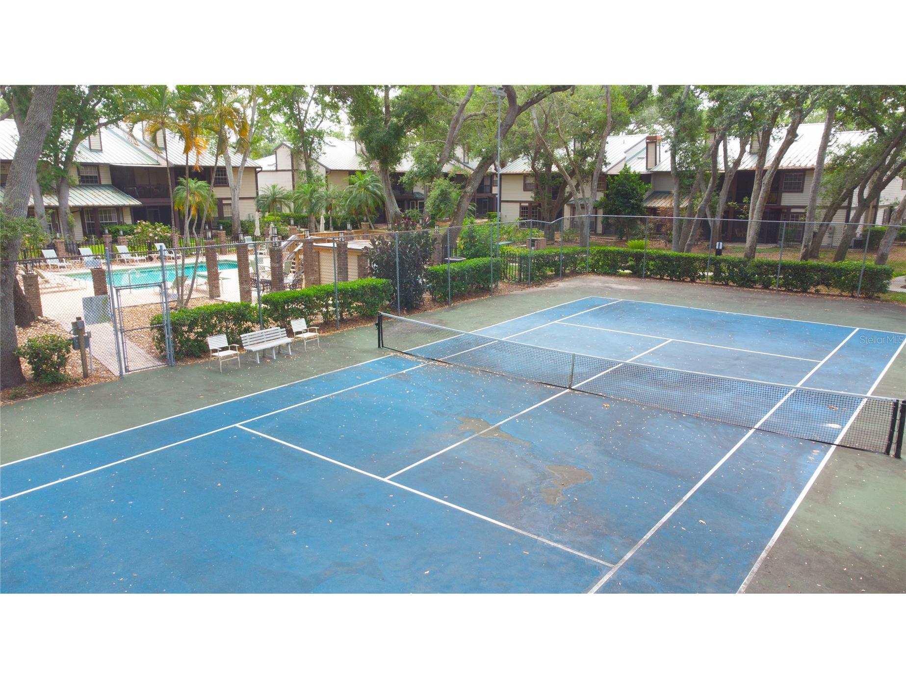 2675 Sequoia Terrace Palm Harbor FL 34683 TB8504736 image34