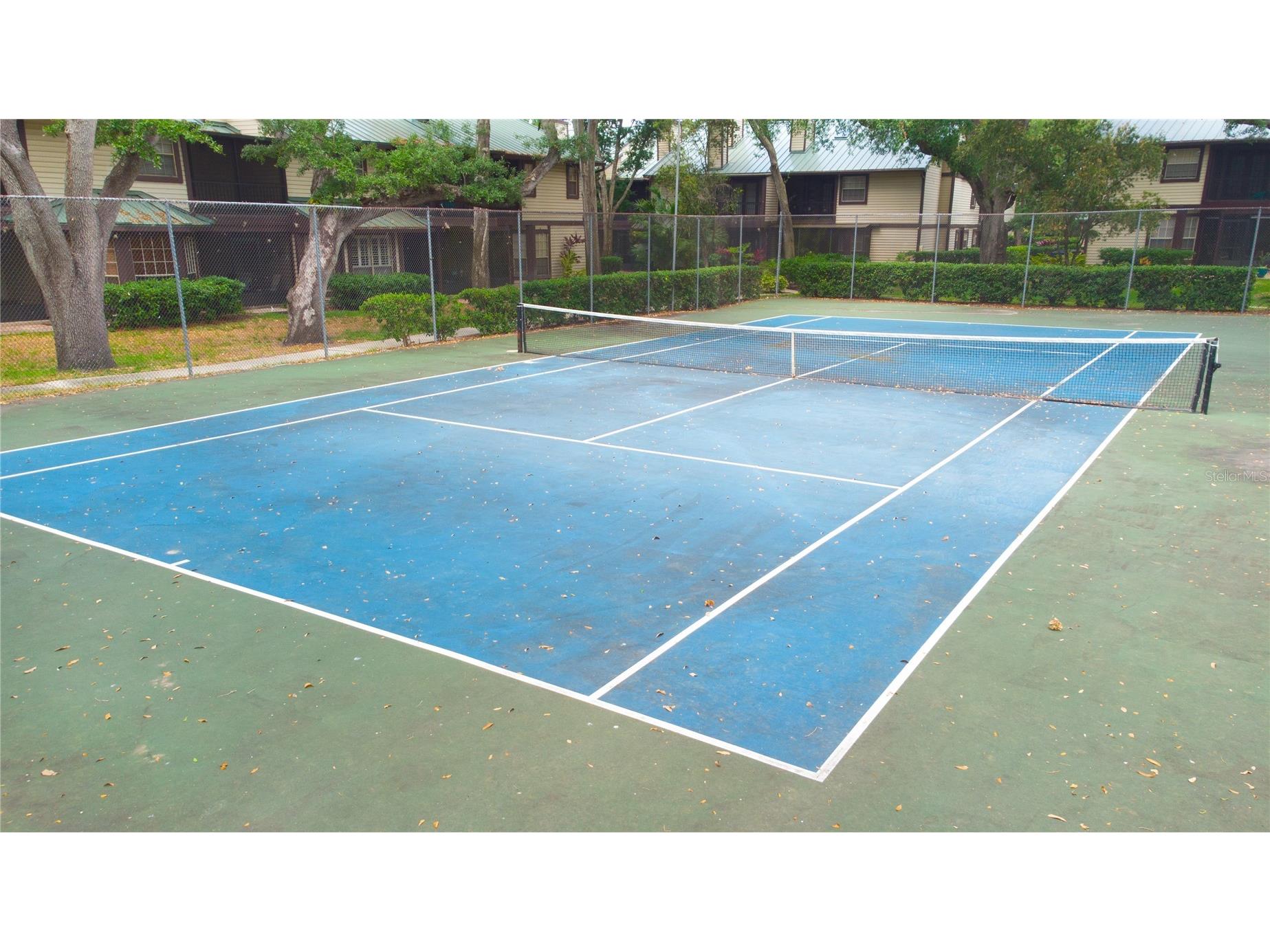 2675 Sequoia Terrace Palm Harbor FL 34683 TB8504736 image35
