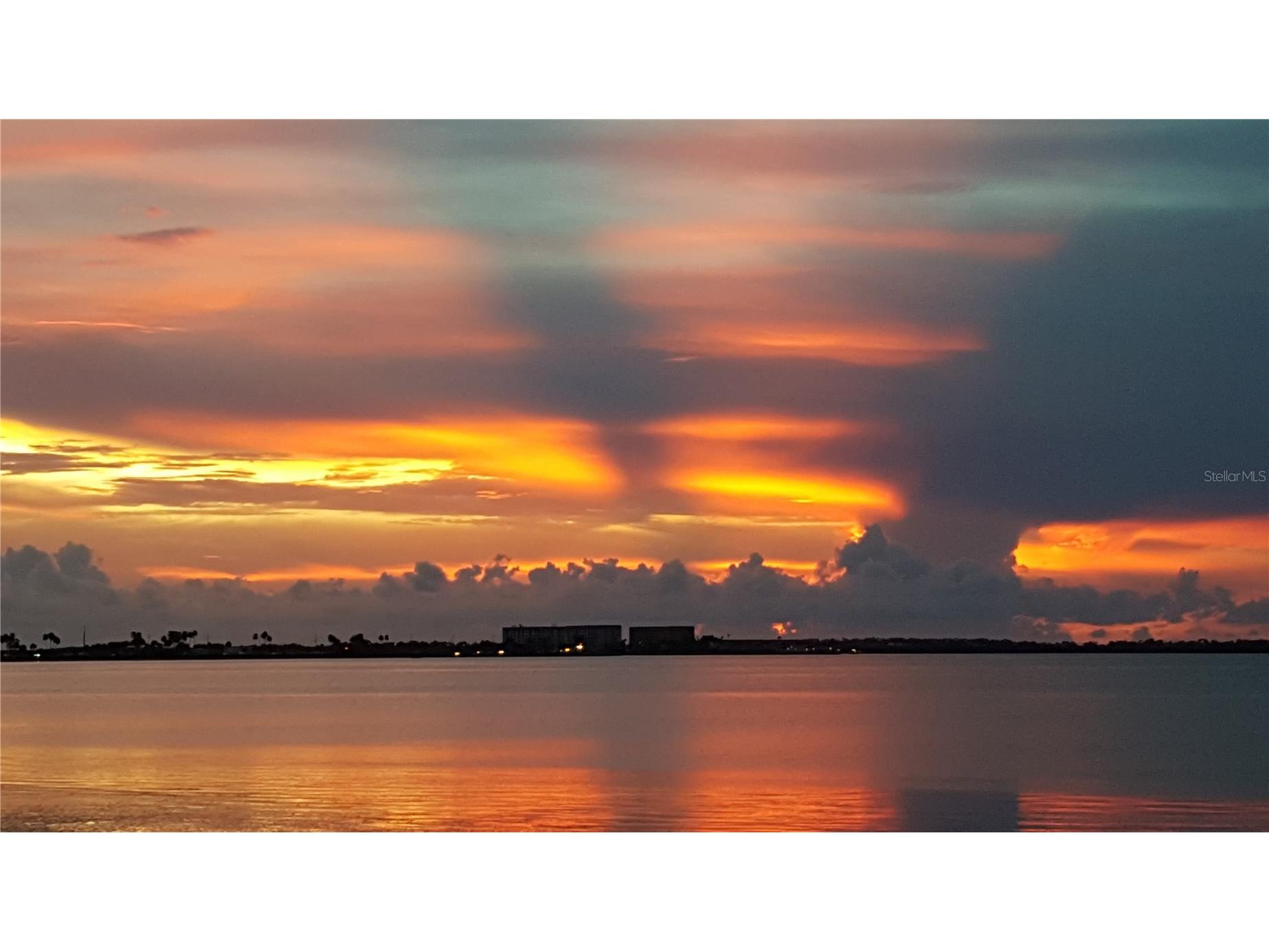 2675 Sequoia Terrace Palm Harbor FL 34683 TB8504736 image39
