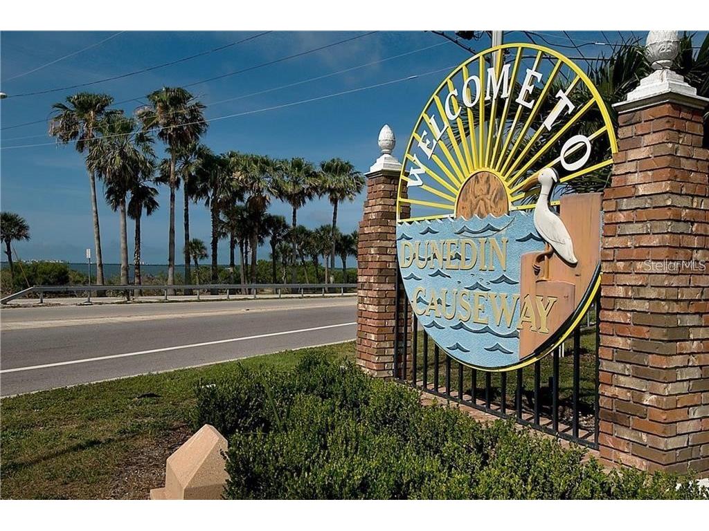 2675 Sequoia Terrace Palm Harbor FL 34683 TB8504736 image41