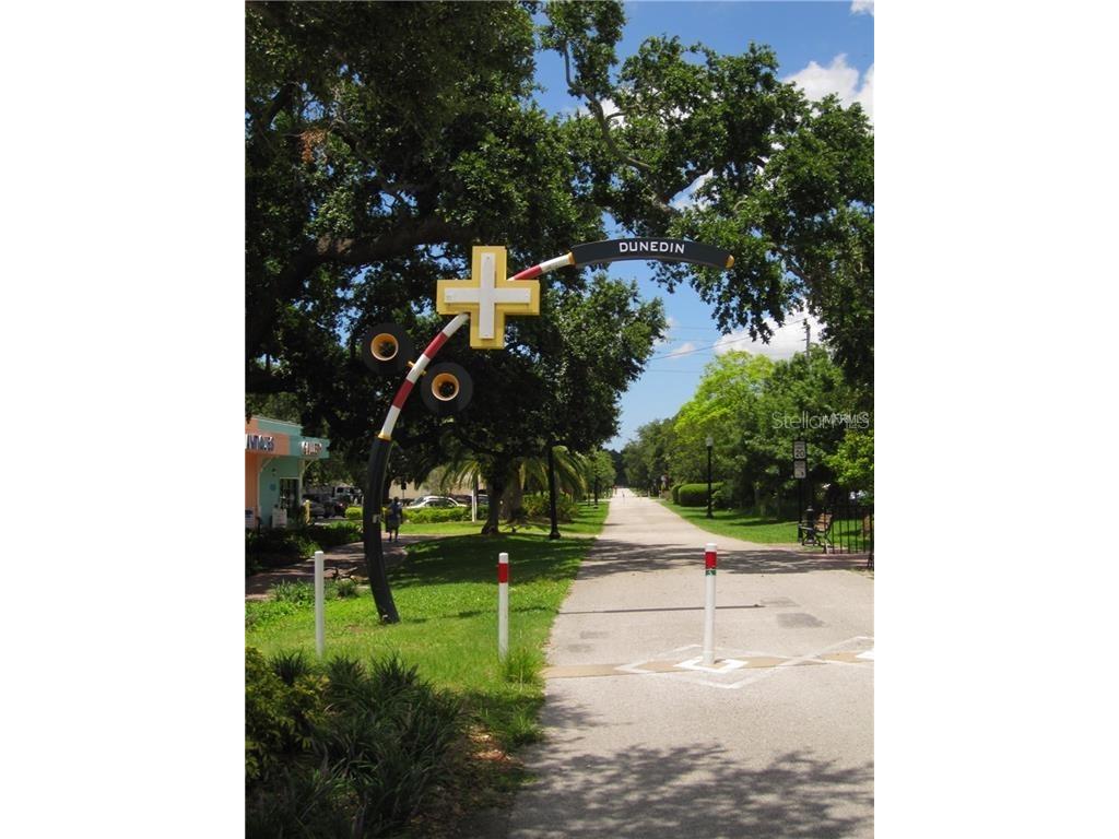 2675 Sequoia Terrace Palm Harbor FL 34683 TB8504736 image50