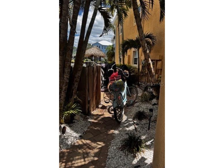 2675 St Josephs Drive E #D Dunedin FL 34698 - ST. JOSEPH SOUND & THE GULF TB8484749 image34