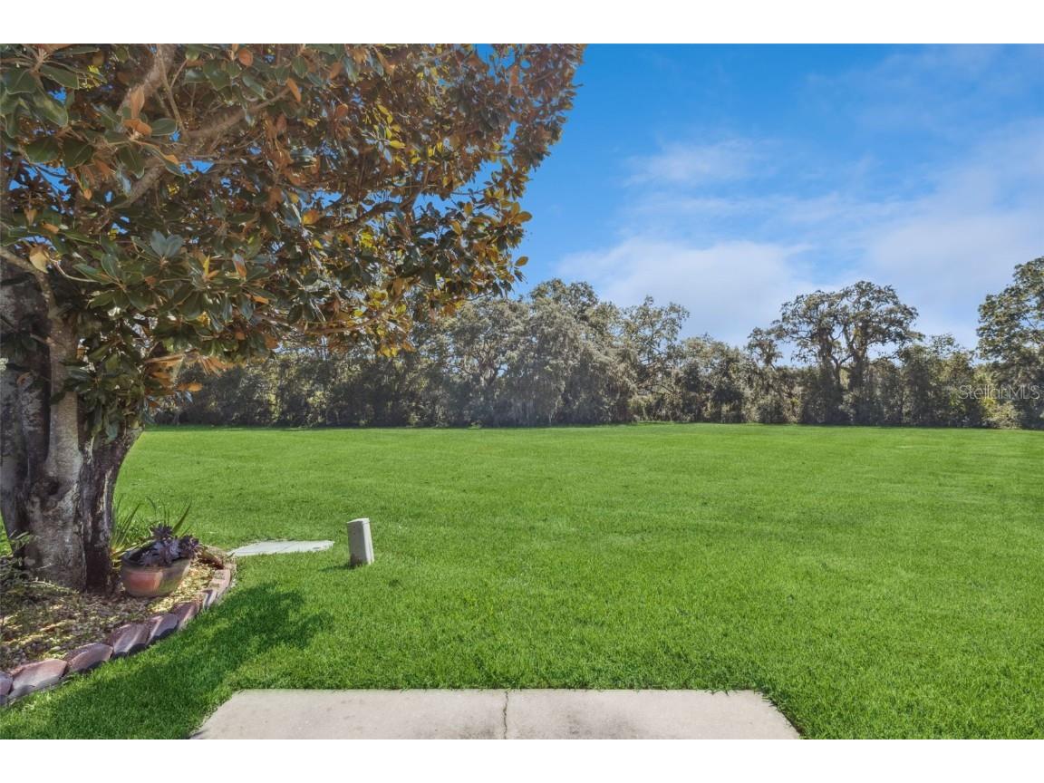 26755 Cash Court Leesburg FL 34748 G5103960 image6