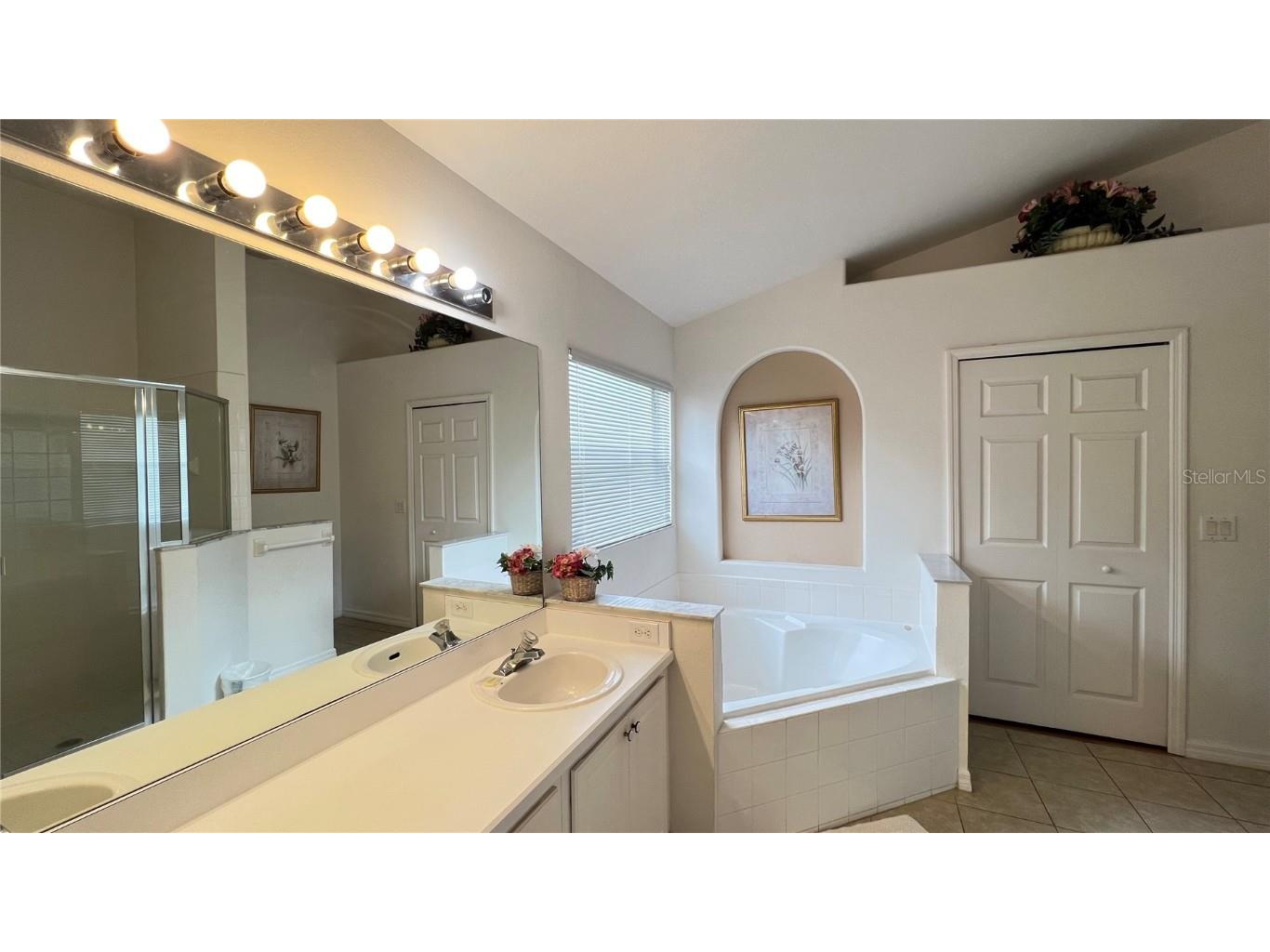 2676 Autumn Creek Circle Kissimmee FL 34747 S5134291 image24