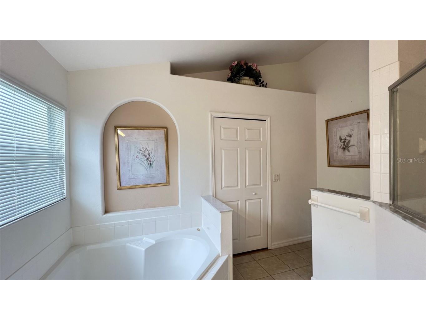 2676 Autumn Creek Circle Kissimmee FL 34747 S5134291 image25