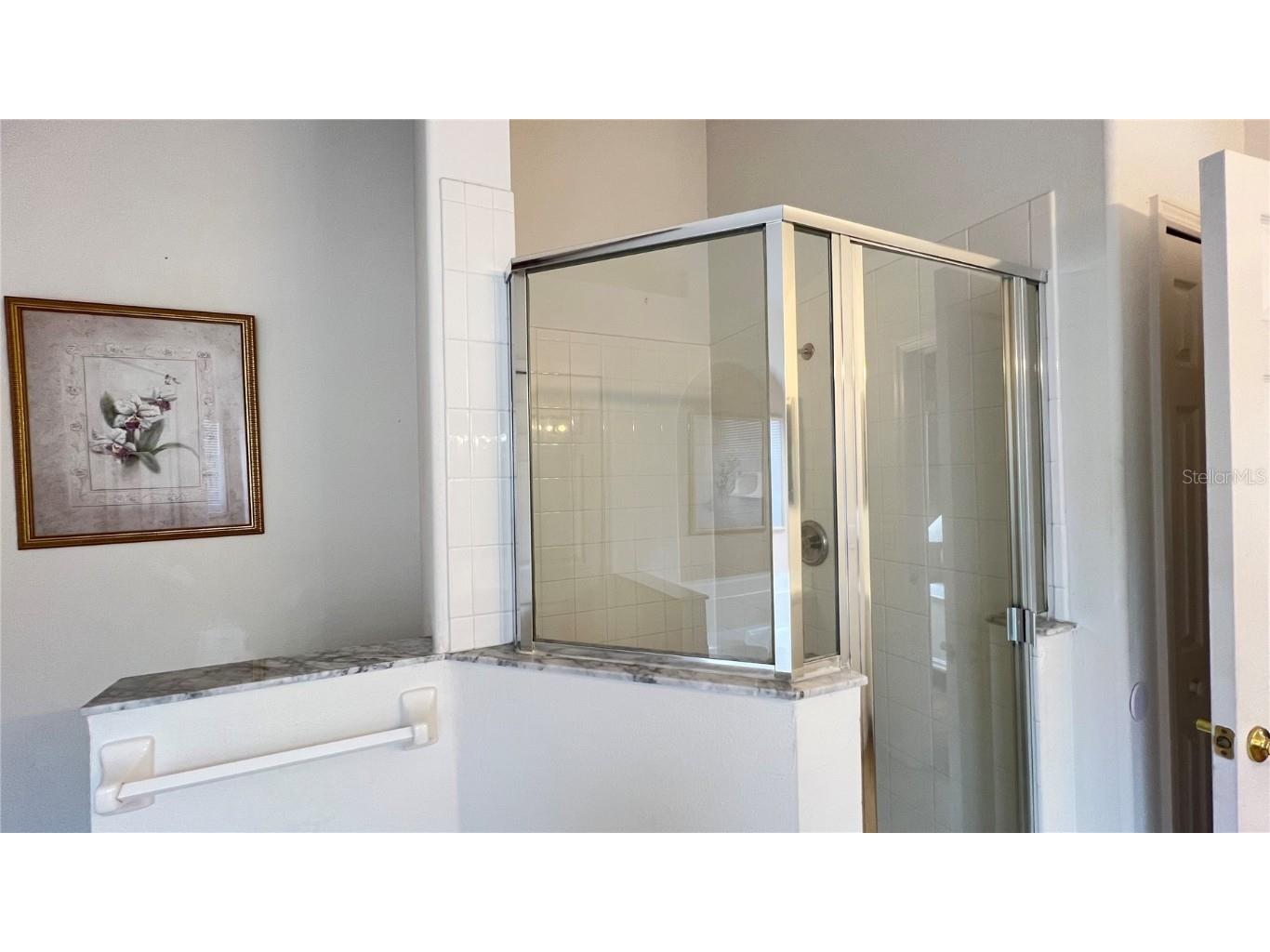 2676 Autumn Creek Circle Kissimmee FL 34747 S5134291 image26