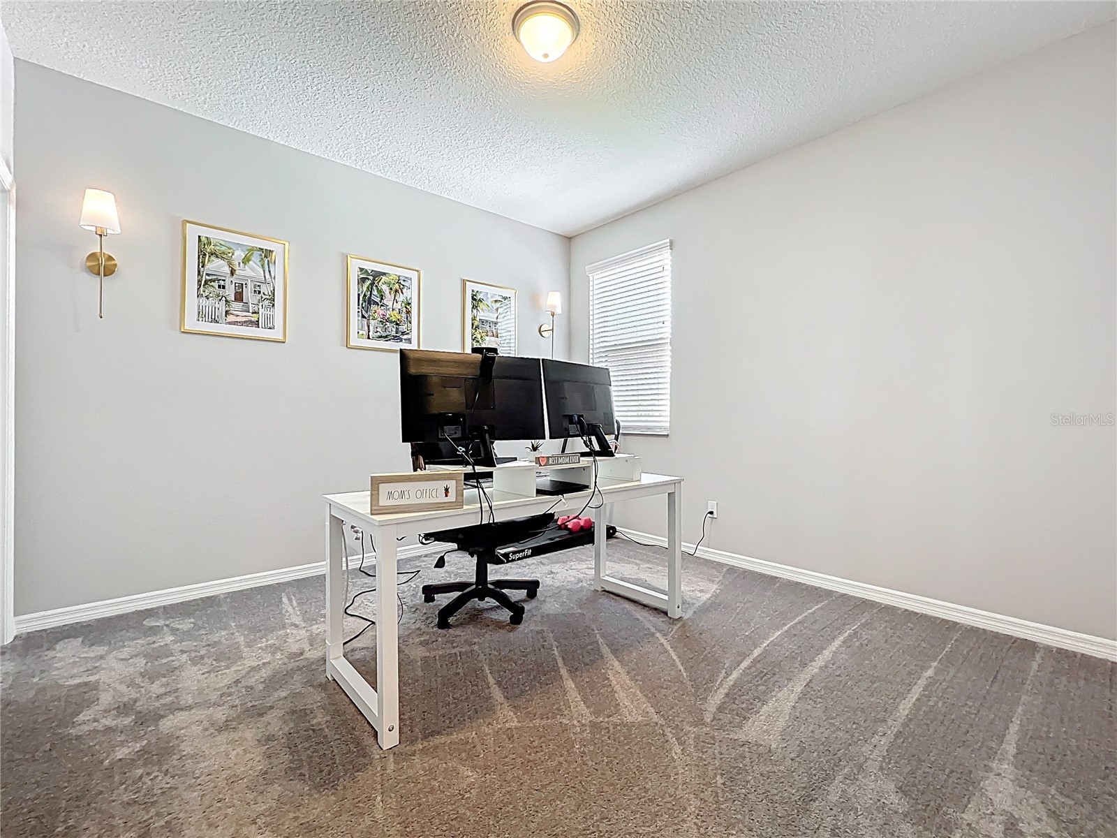 2676 Estuary Loop Oviedo FL 32765 O6395396 image60